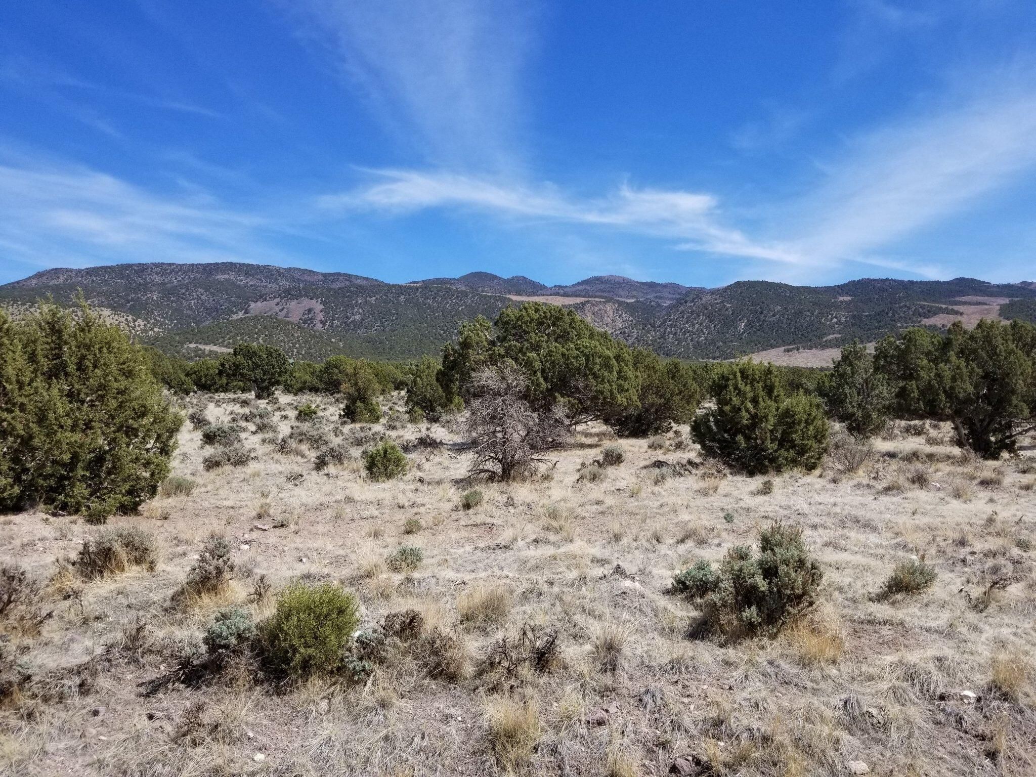 5 acres in Iron County, Utah
