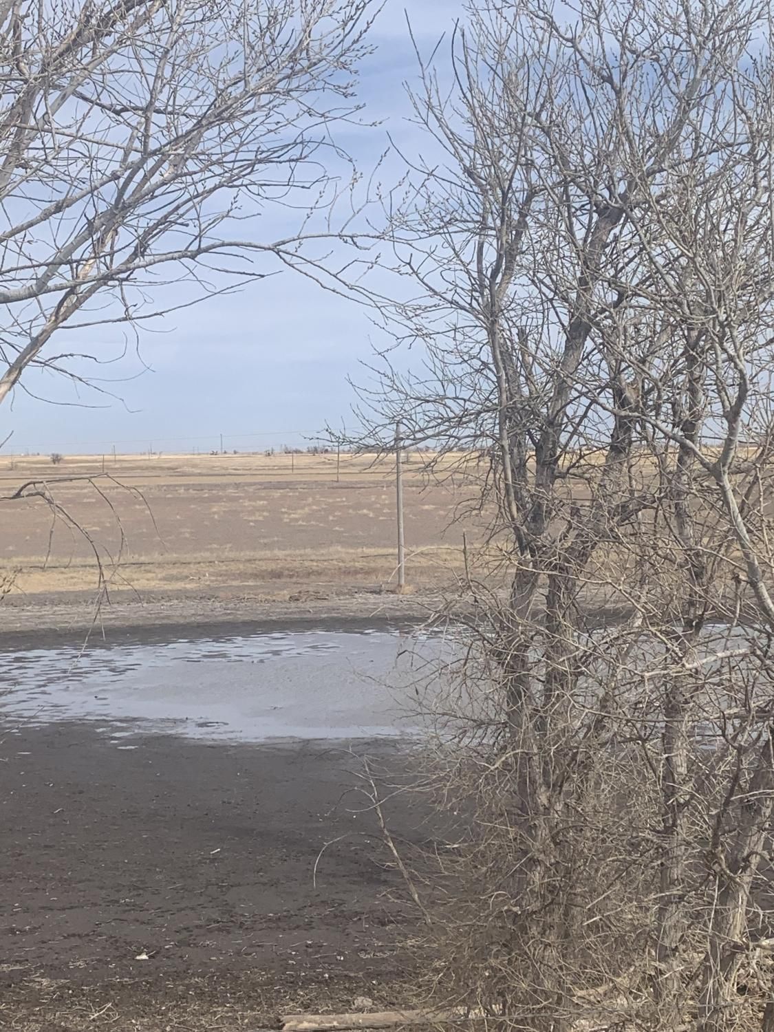 303 acres in Gray County, Texas