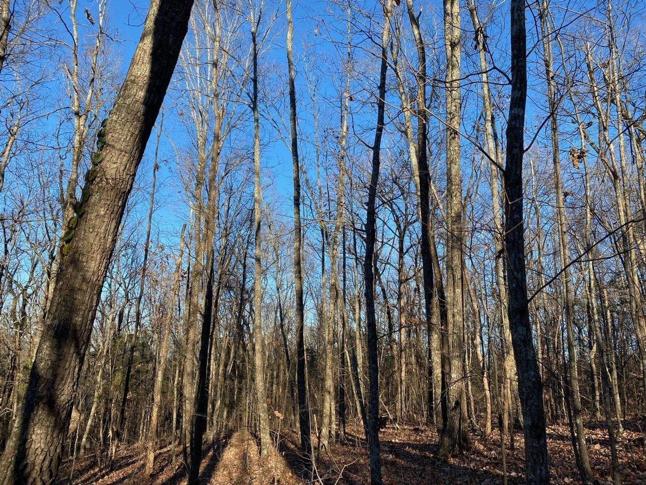 18 acres in Lawrence County, Alabama