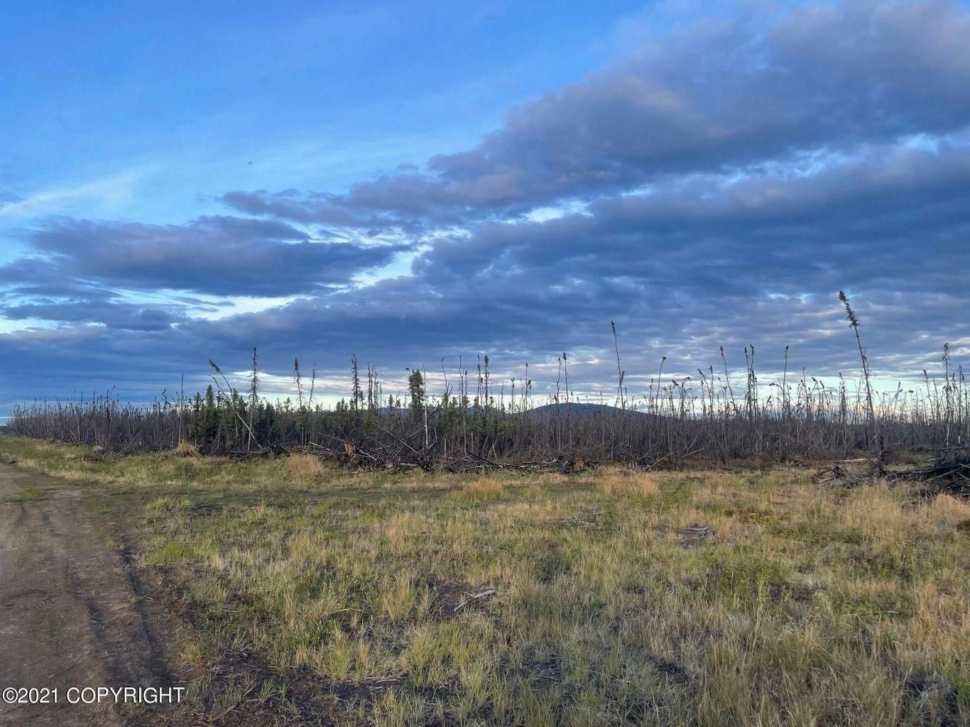75.5 acres in Denali Borough, Alaska
