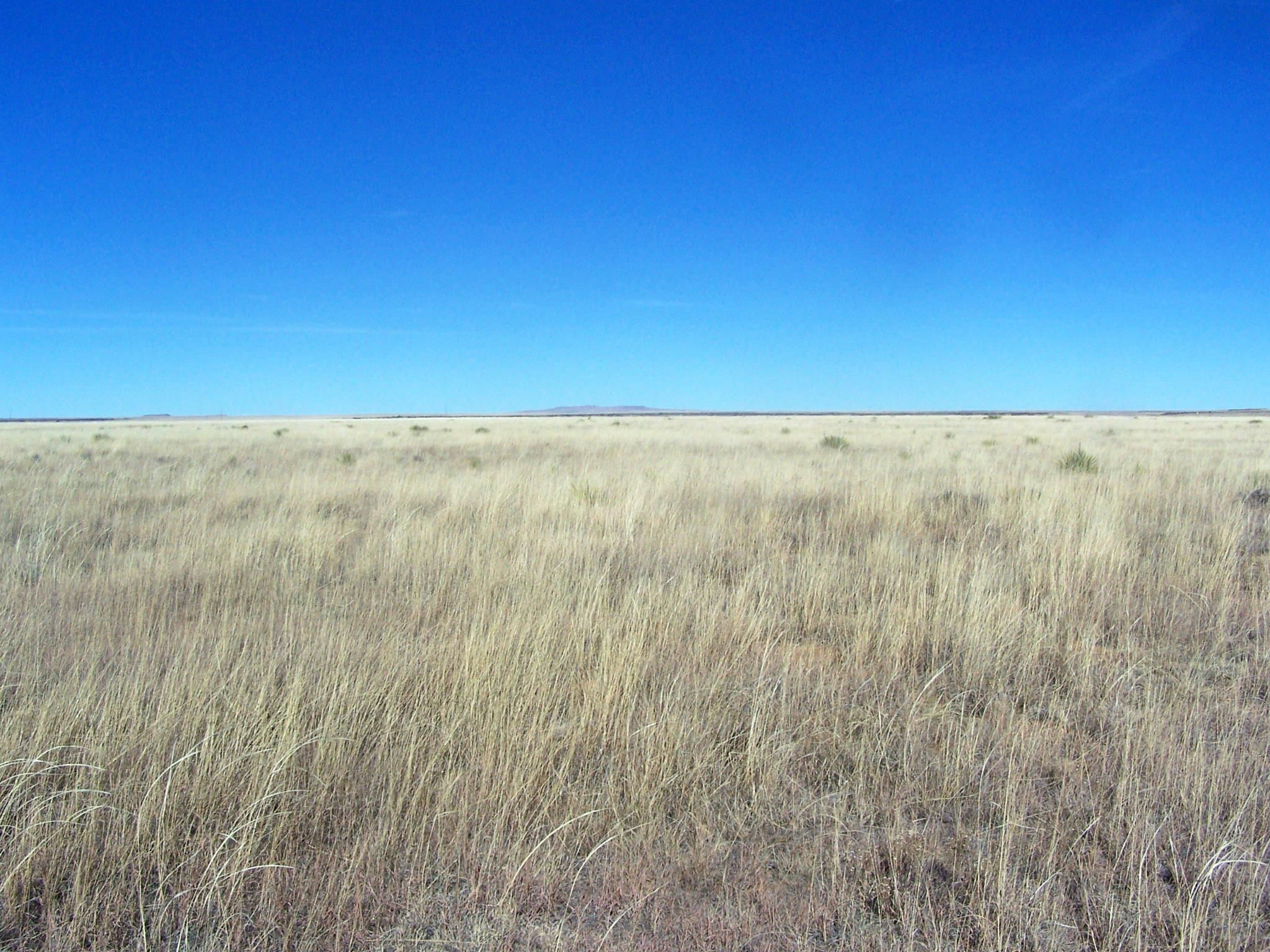2,091 acres in Union County, New Mexico