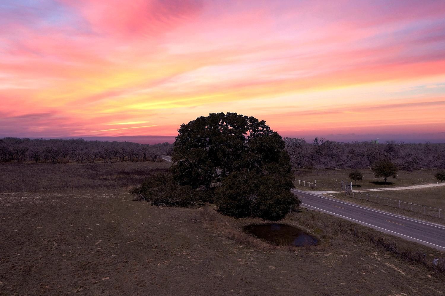 120 acres in Wilson County, Texas