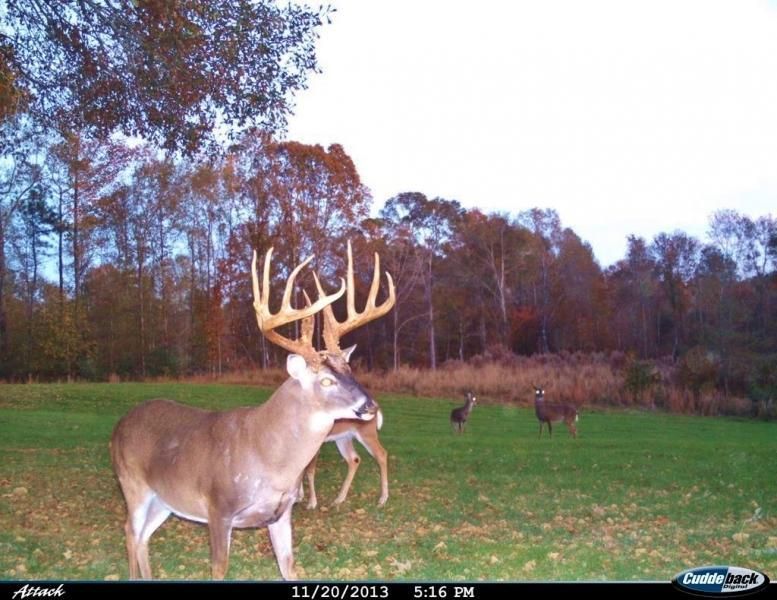 493 acres in Wilkinson County, Mississippi