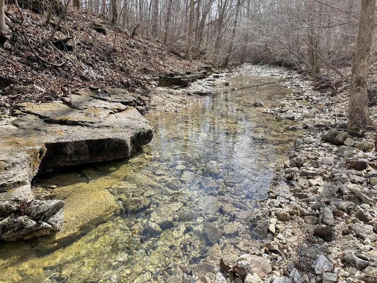 53.18 acres in Wright County, Missouri