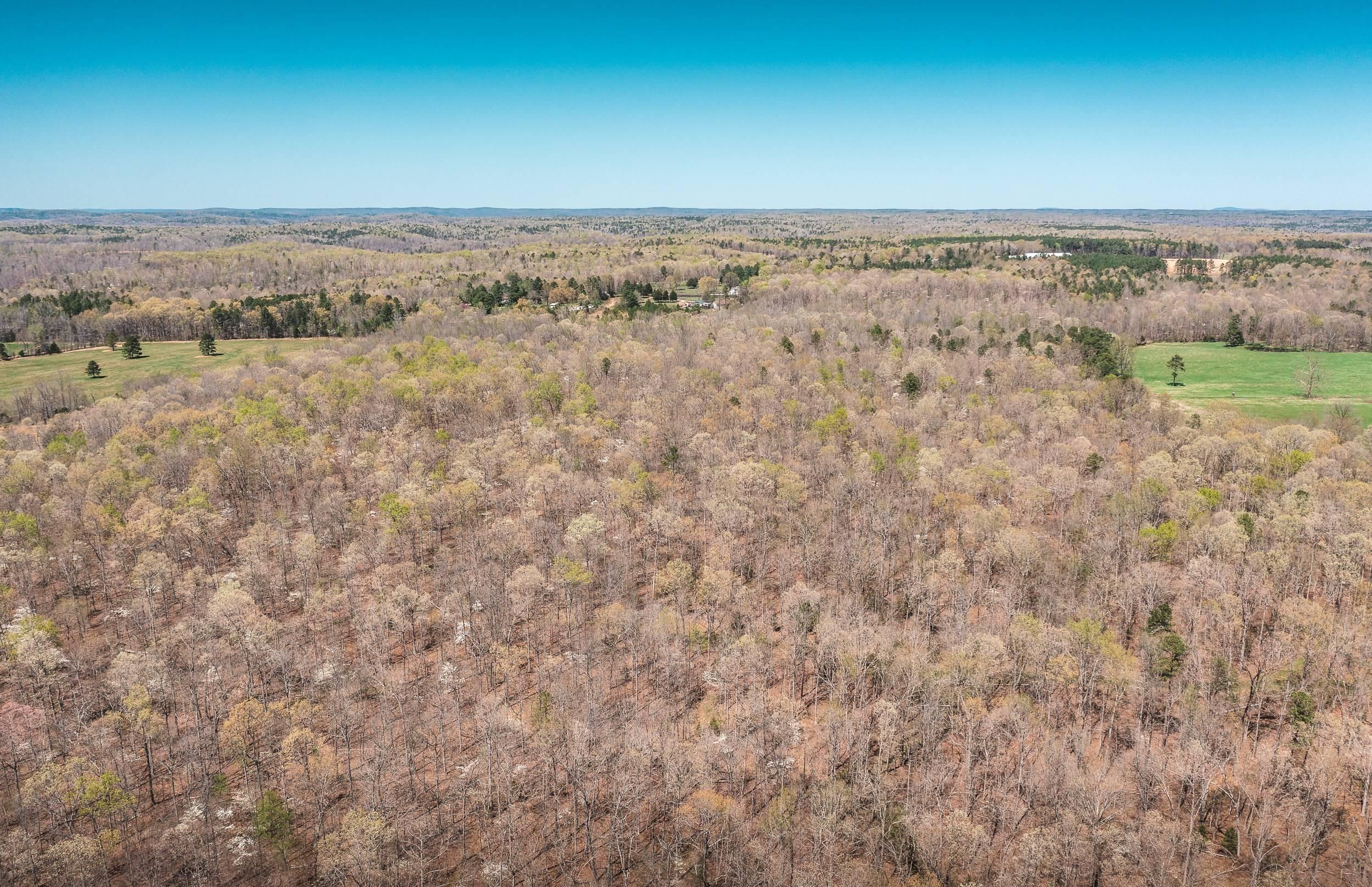 80 acres in Ripley County, Missouri