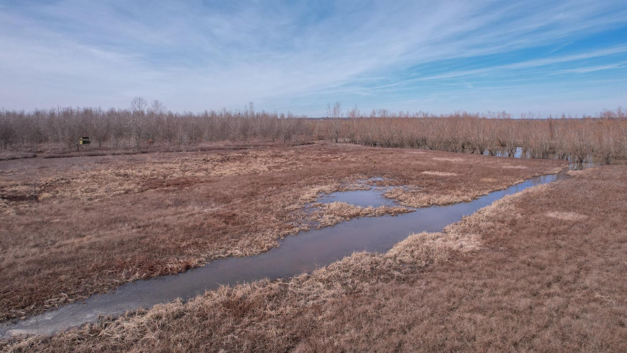 206 acres in Bowie County, Texas