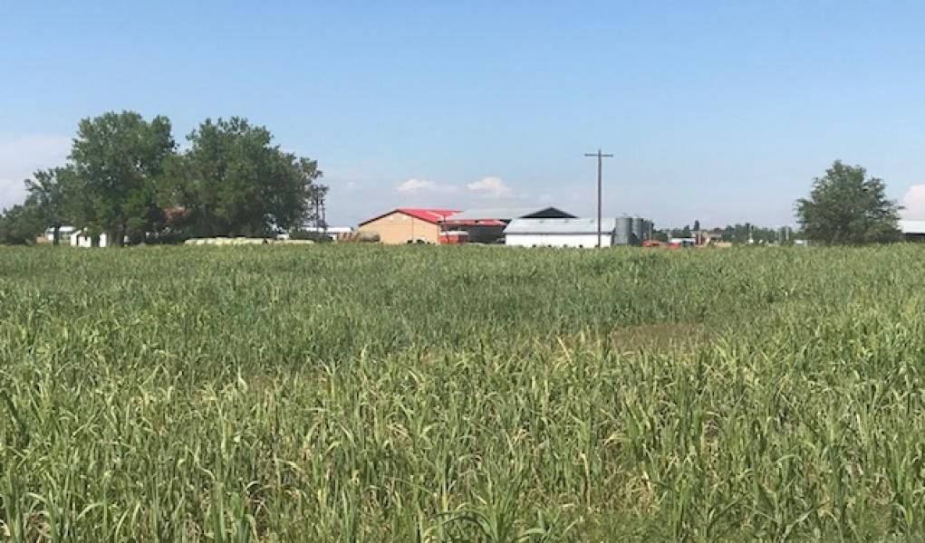 69 acres in Adams County, Colorado