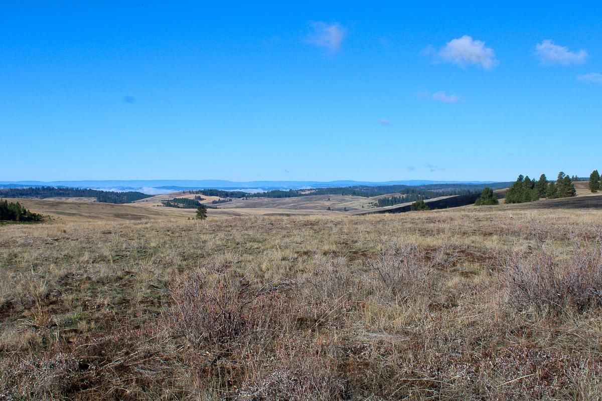 640 acres in Wallowa County, Oregon