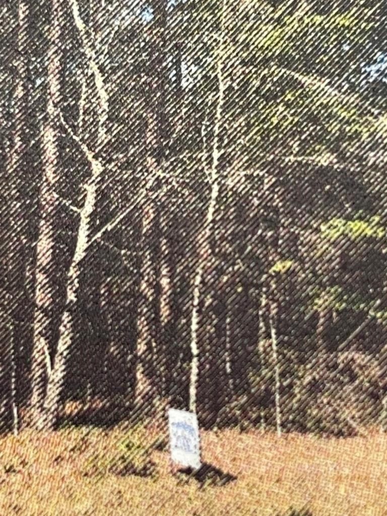 1 acres in Jeff Davis County,