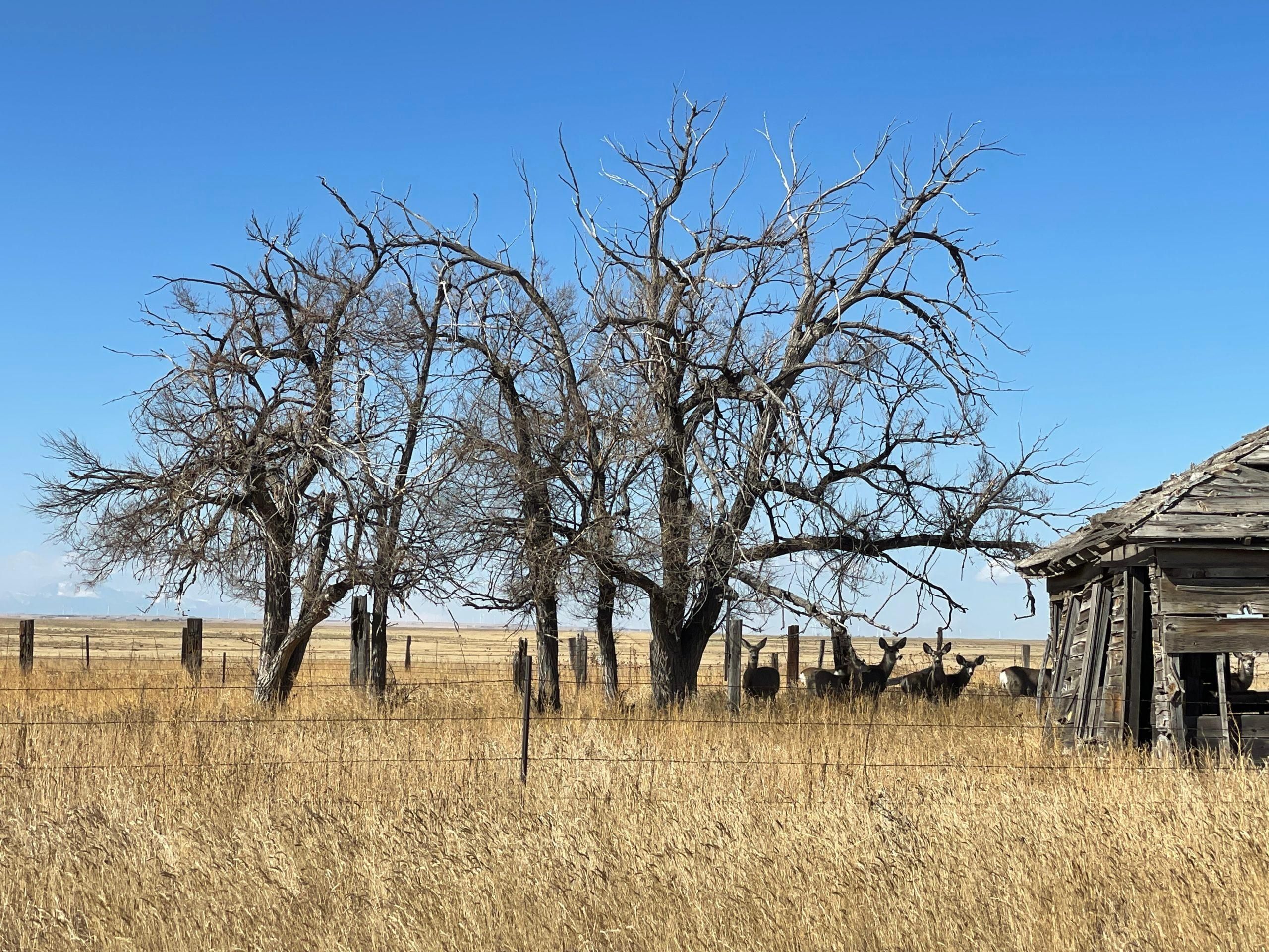 800 acres in Elbert County, Colorado
