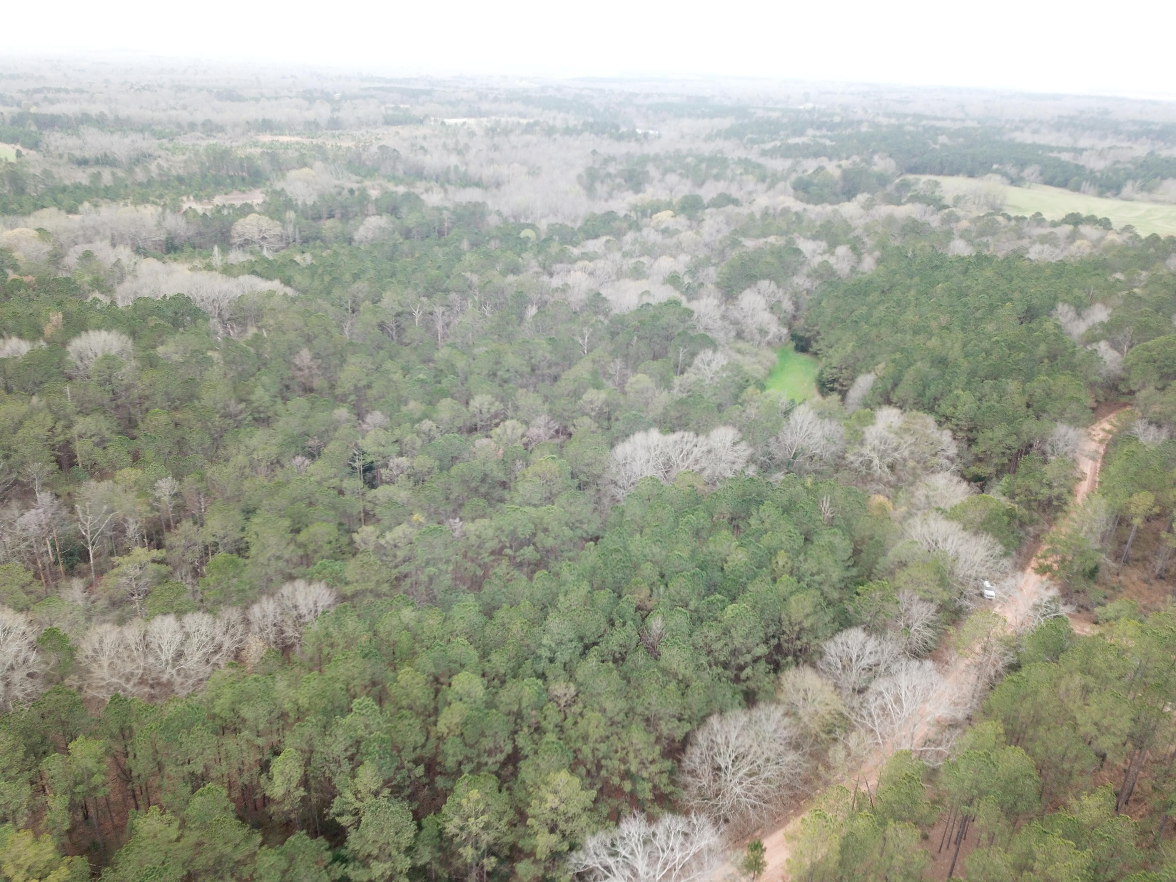44 acres in Crenshaw County, Alabama