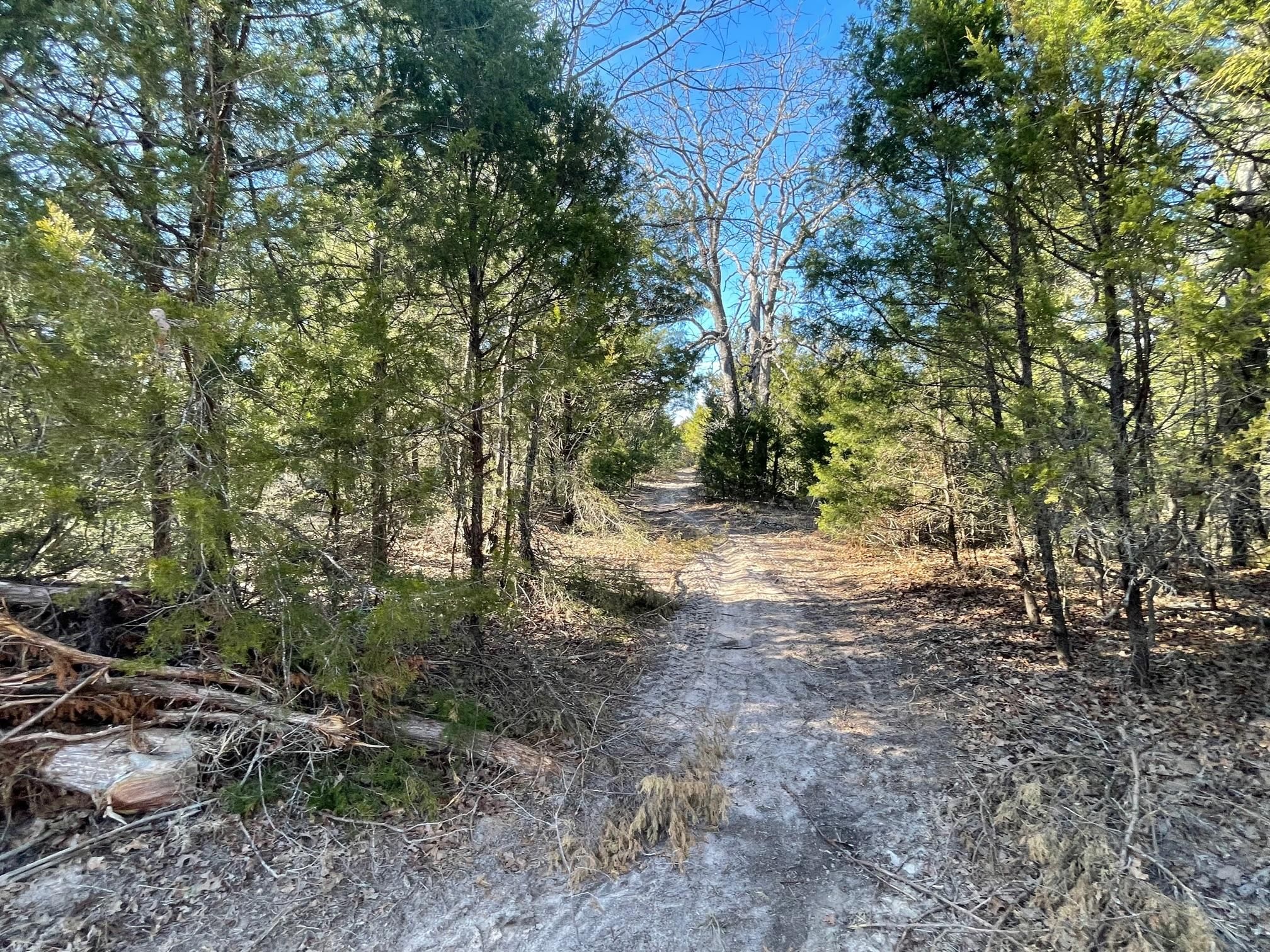 7 acres in Limestone County, Texas
