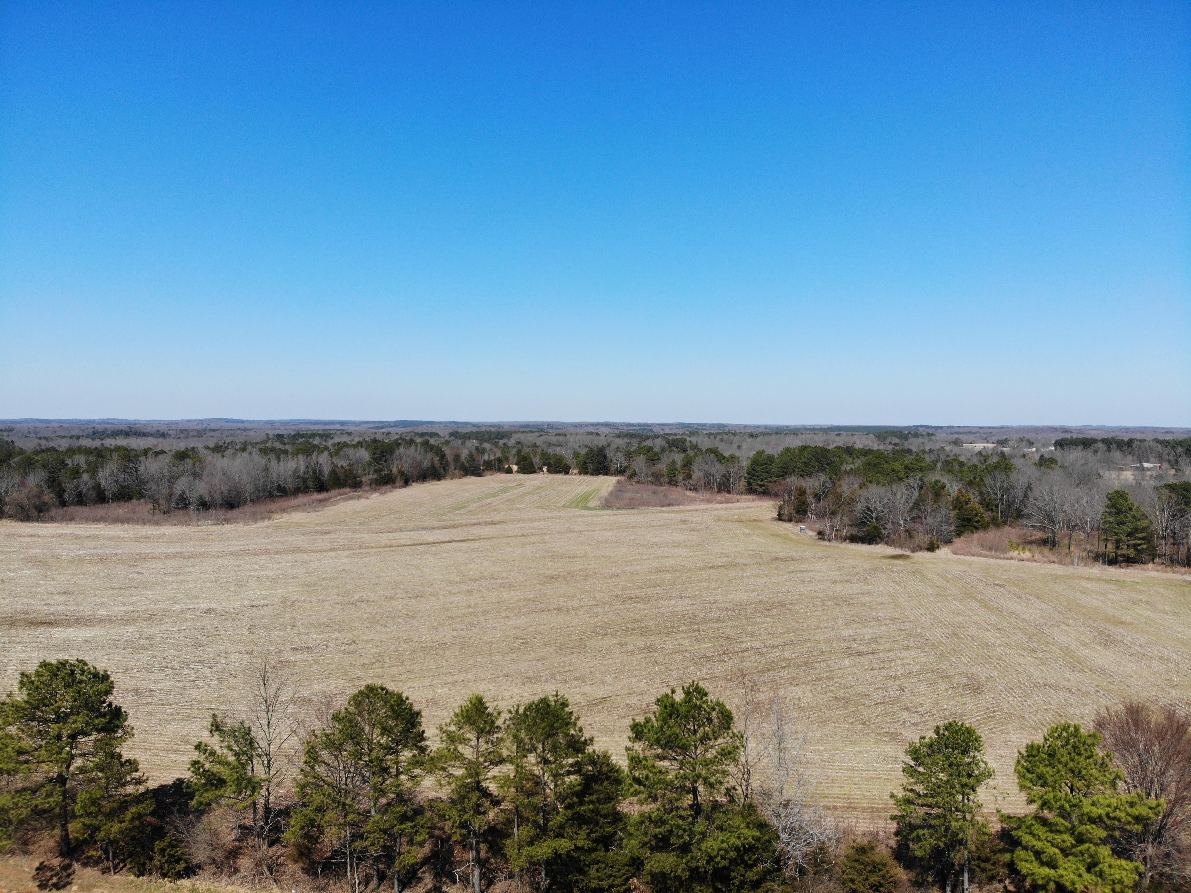 42 acres in Benton County, Mississippi