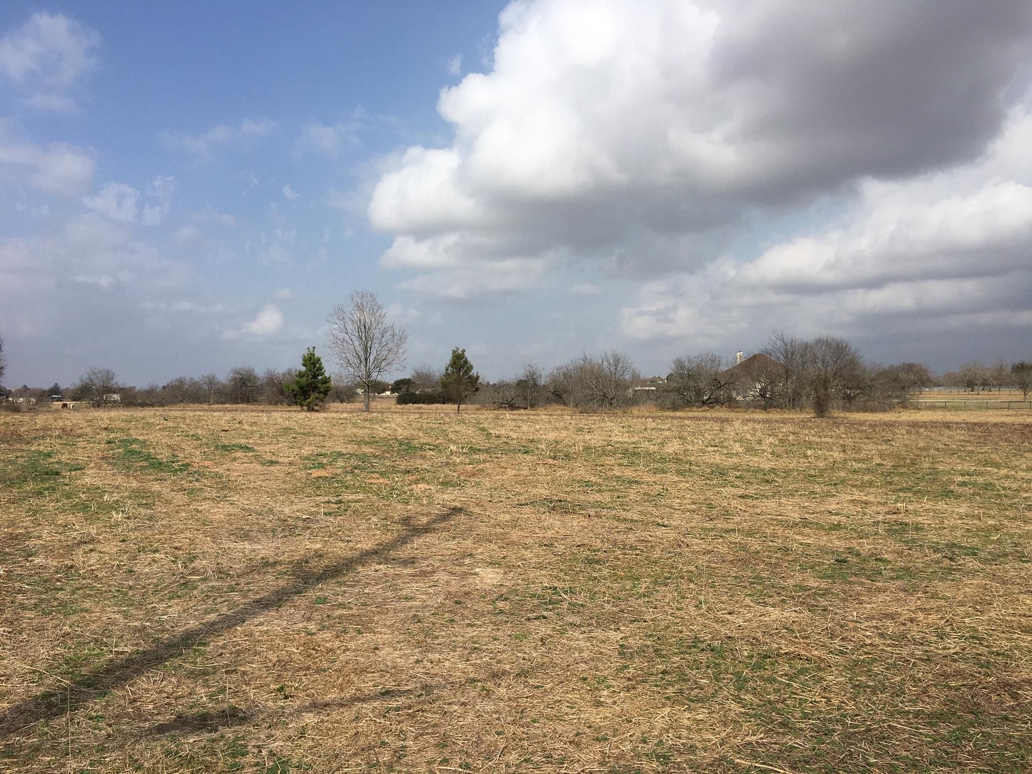 31910 Rogers Road, Fulshear, TX 77441