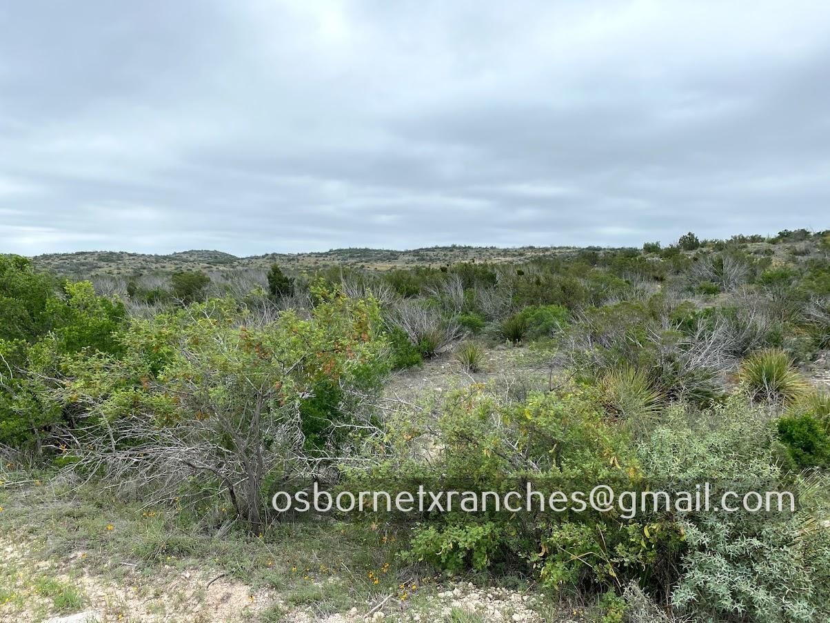 51.82 acres in Juno, TX, 78840