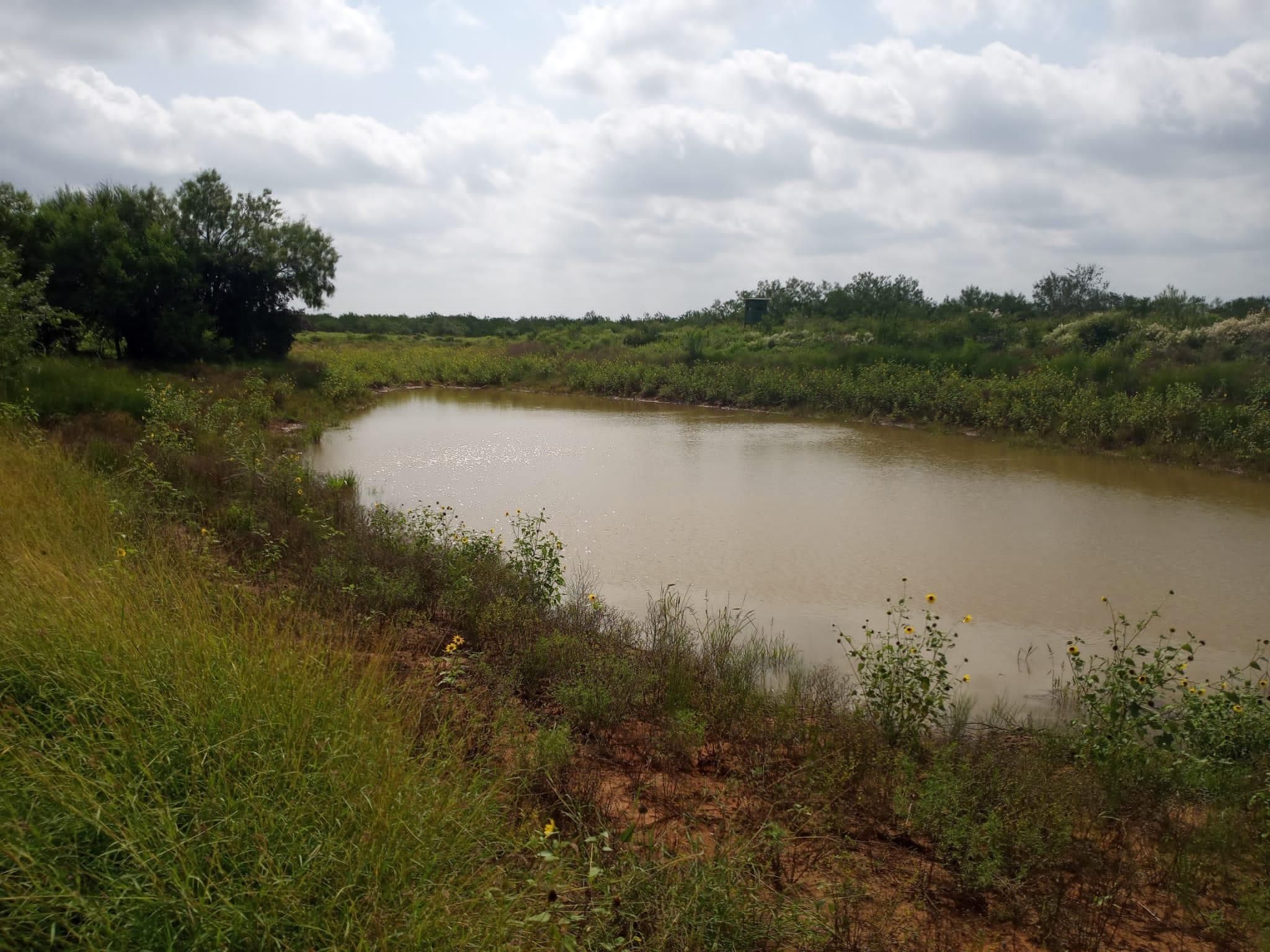40 acres in La Salle County, Texas