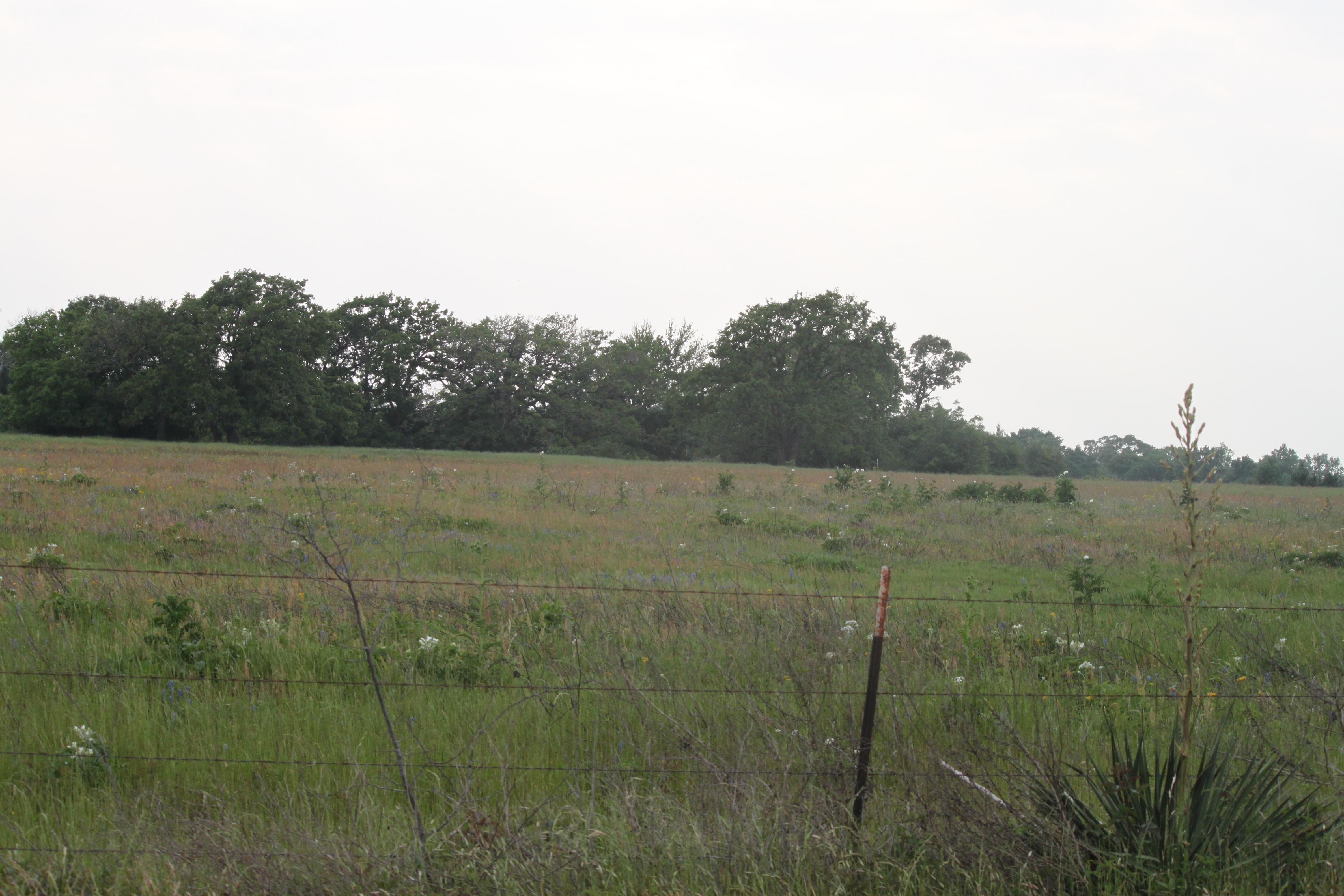 4.36 acres in Waller County, Texas