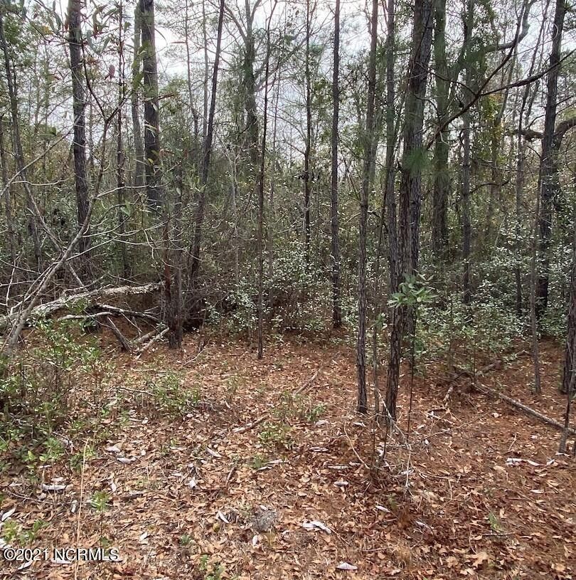 37 acres in Brunswick County, North Carolina