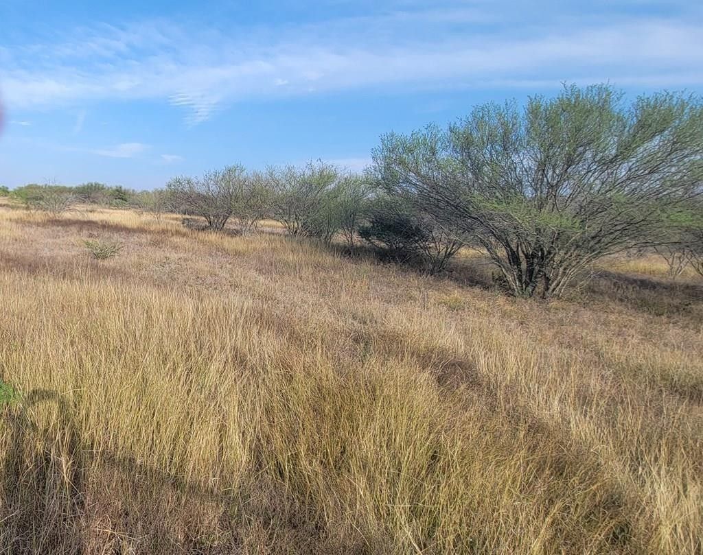 82.5 acres in Karnes County, Texas