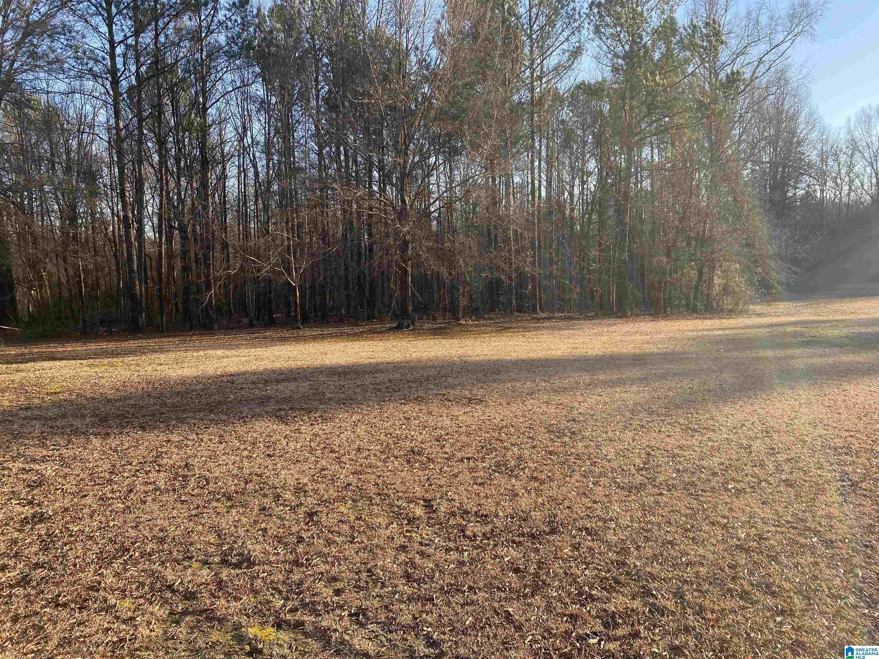 3 acres in Calhoun County, Alabama