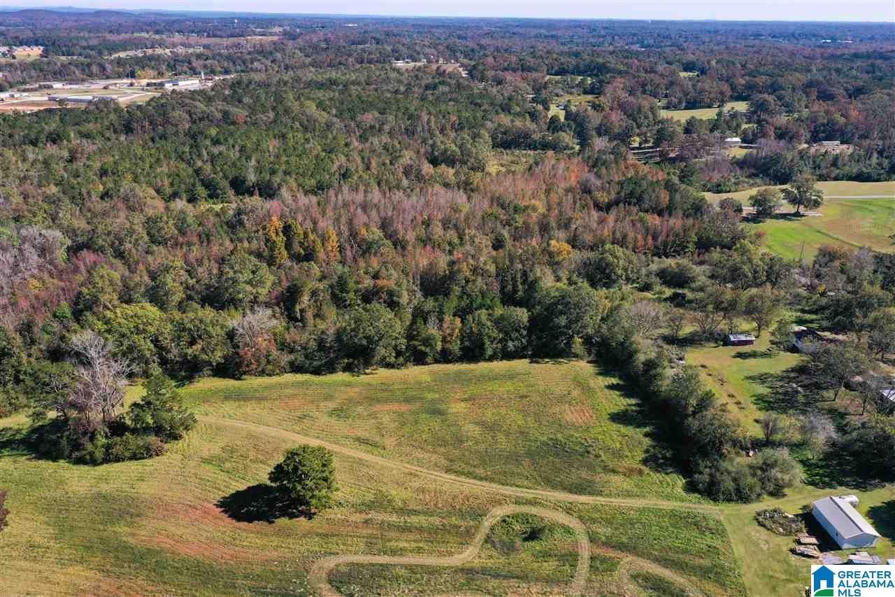 77 acres in Chilton County, Alabama
