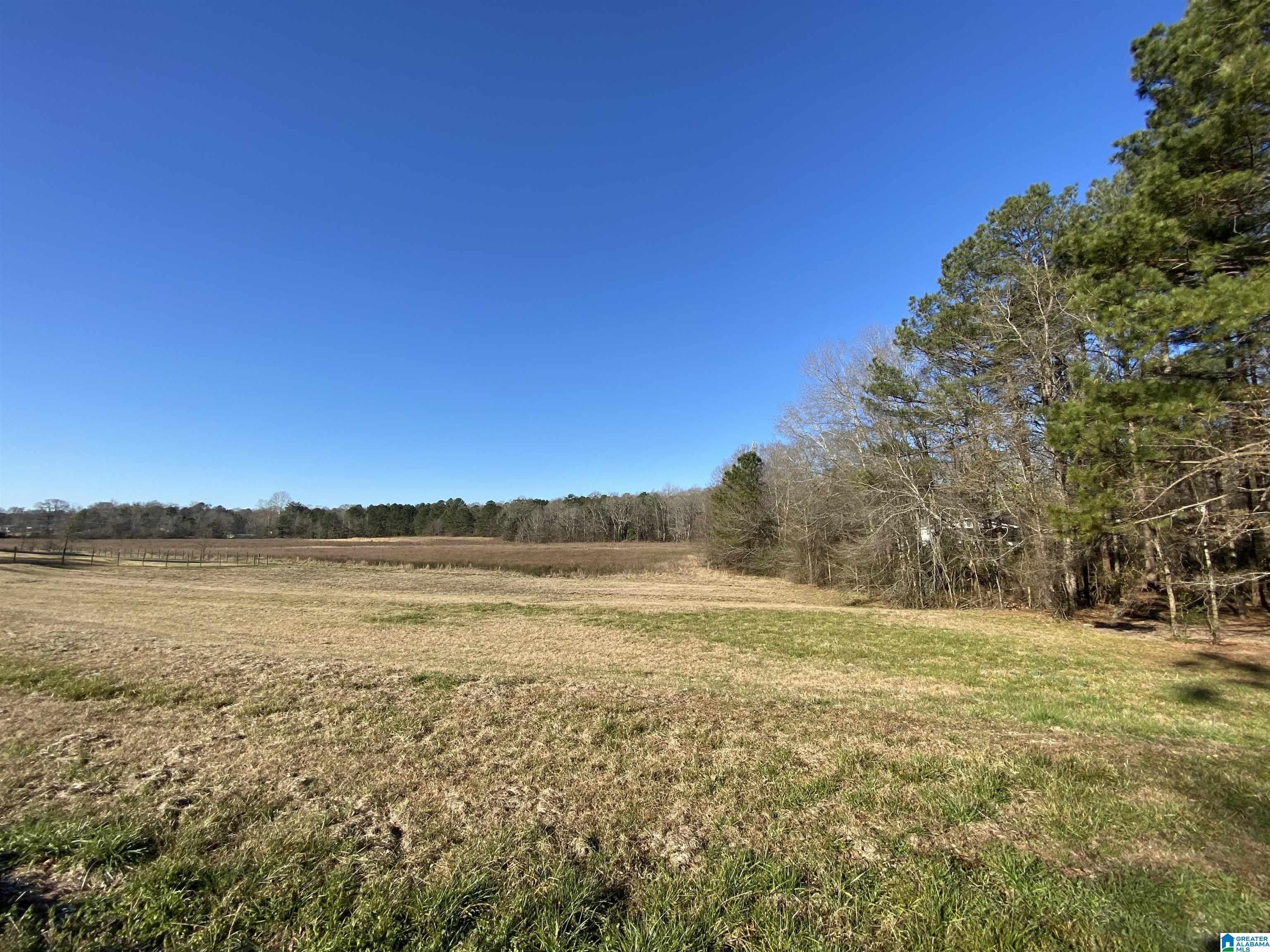 20 acres in Shelby County, Alabama