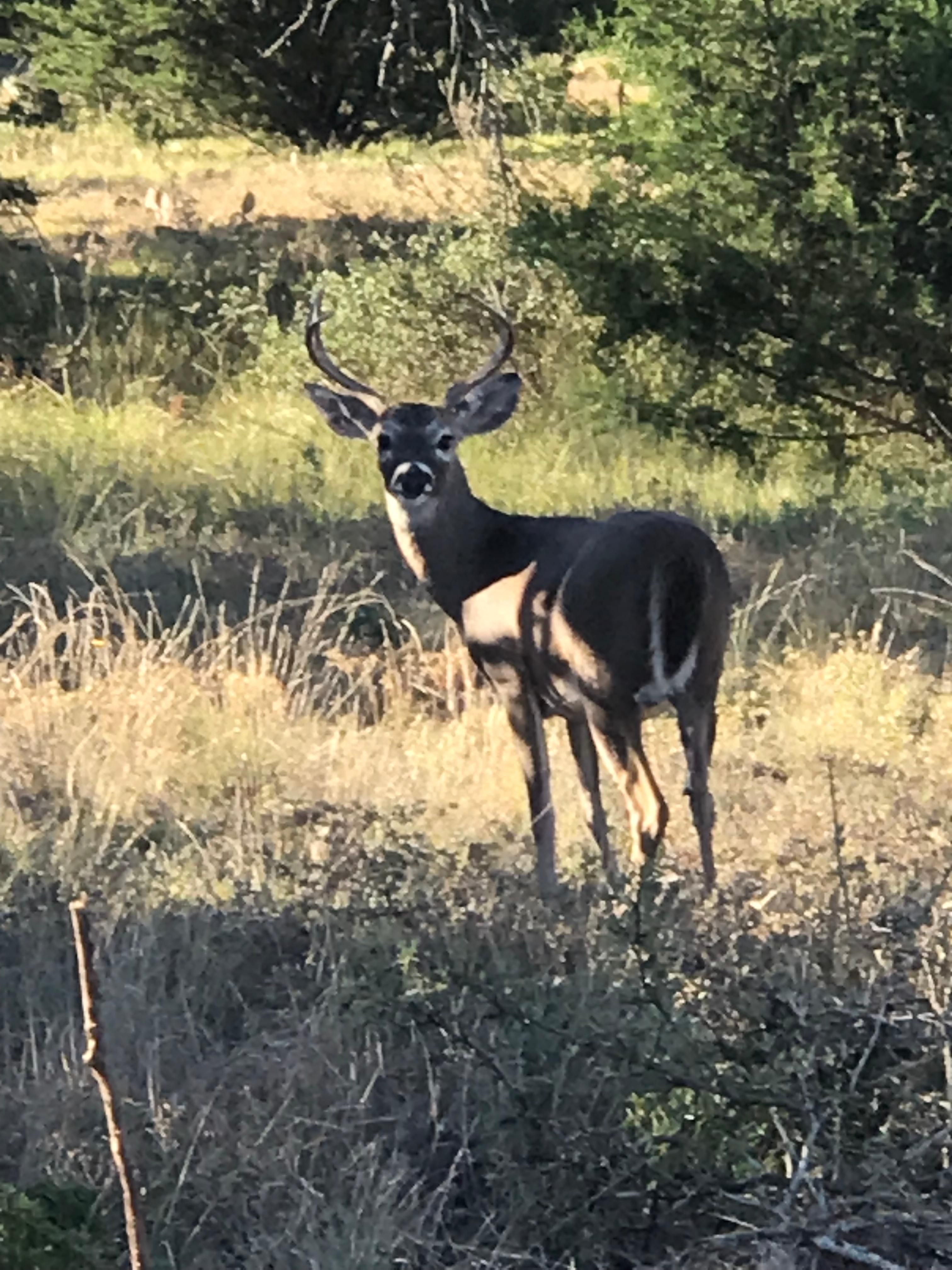 23.97 acres in Menard County, Texas