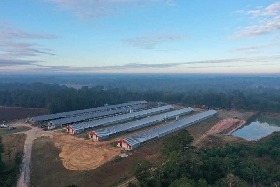 24.5 acres in Jeff Davis County,