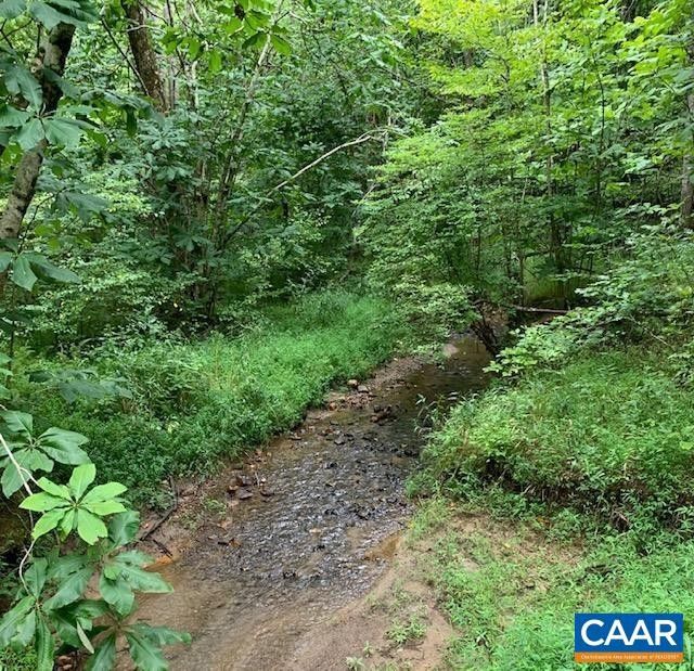 89 acres in Nelson County, Virginia