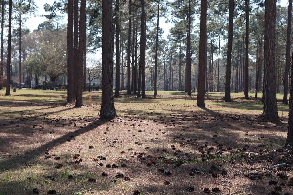 3.14 acres in Crisp County,