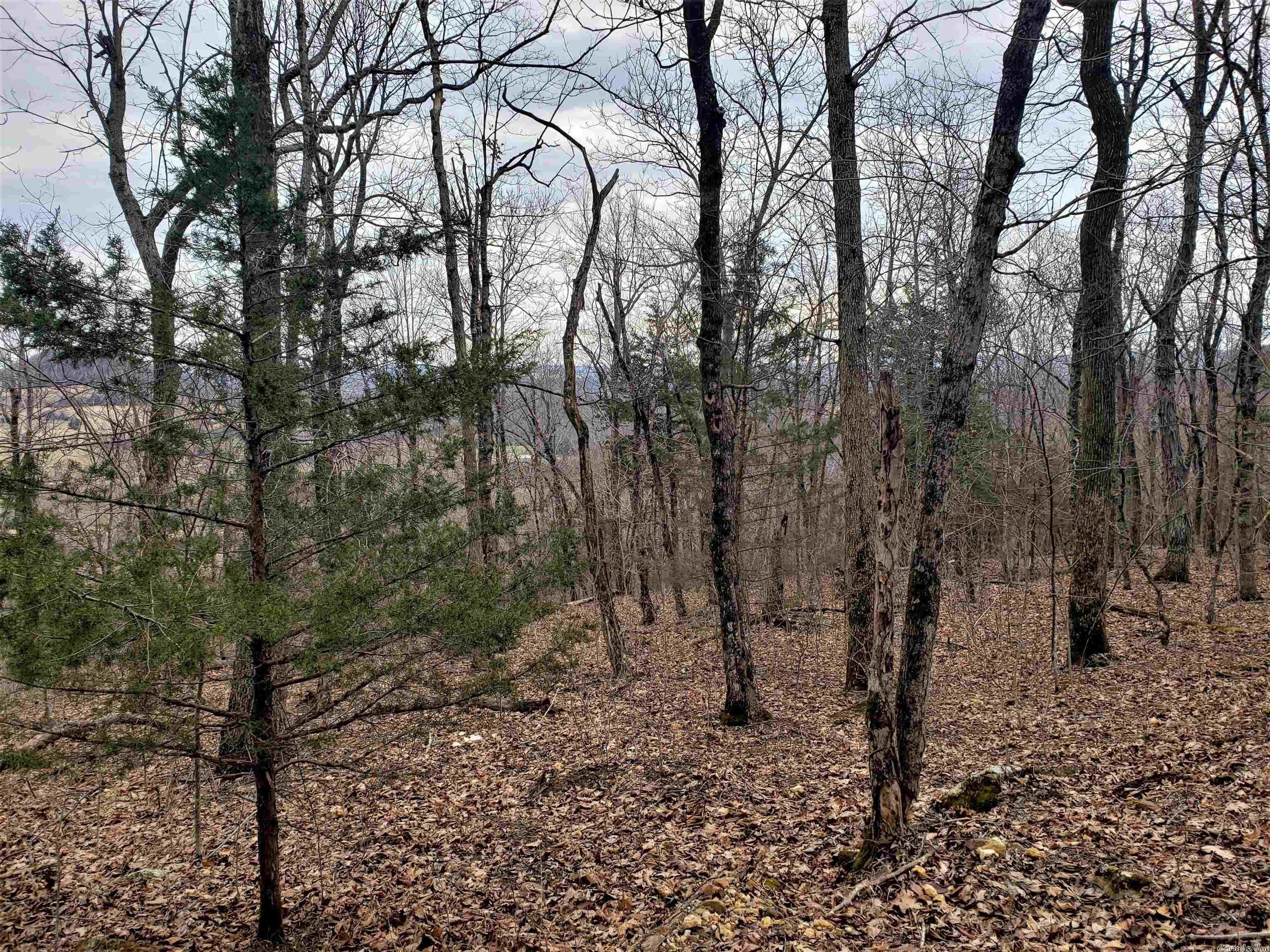 2.42 acres in Searcy County, Arkansas