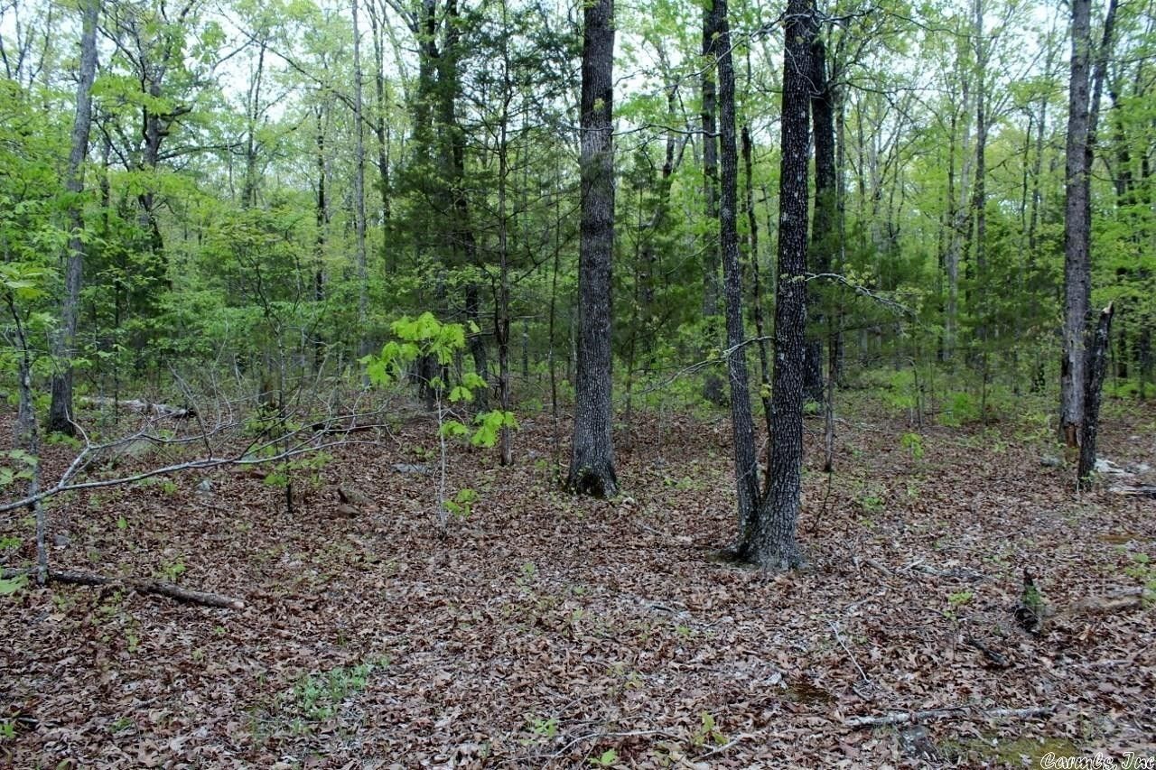40 acres in Stone County, Arkansas