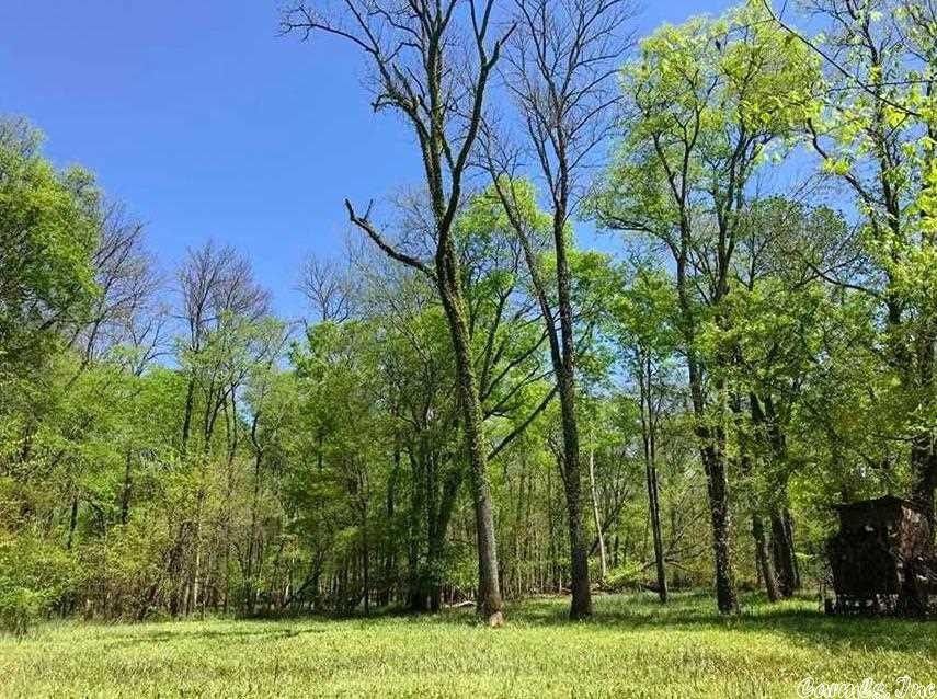 595 acres in Hempstead County, Arkansas