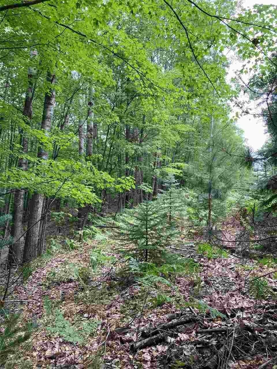 0.91 acres in County, Michigan
