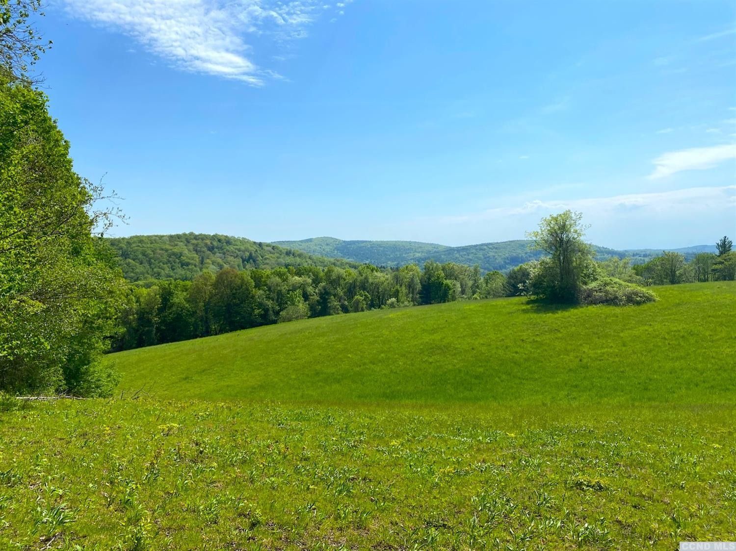 88 acres in Columbia County, New York