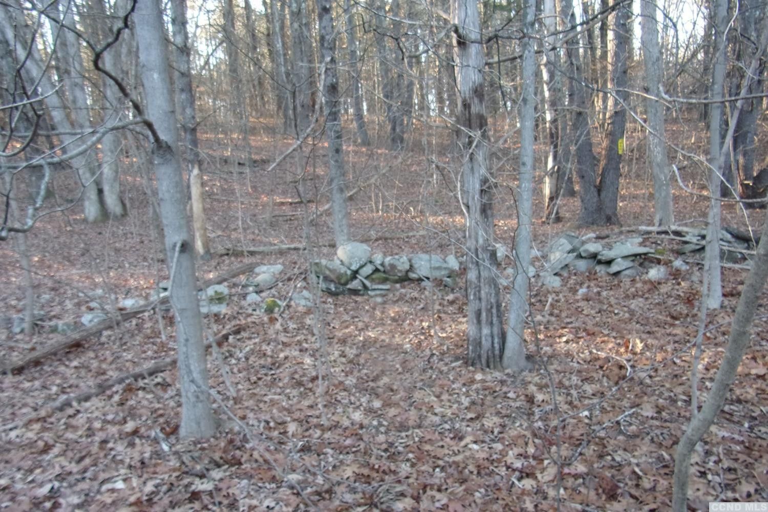 2 acres in Greene County, New York
