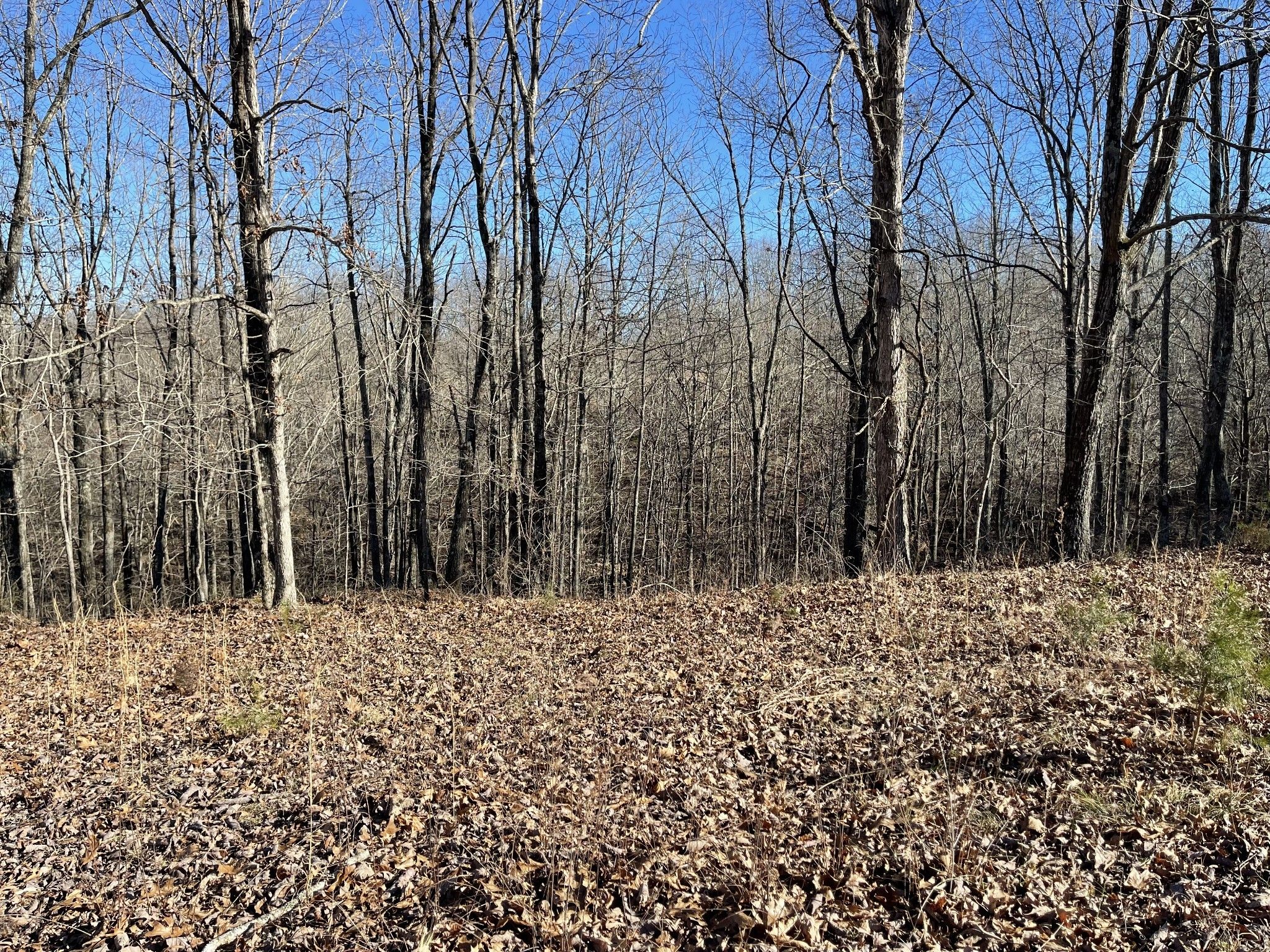 5.1 acres in Humphreys County, Tennessee