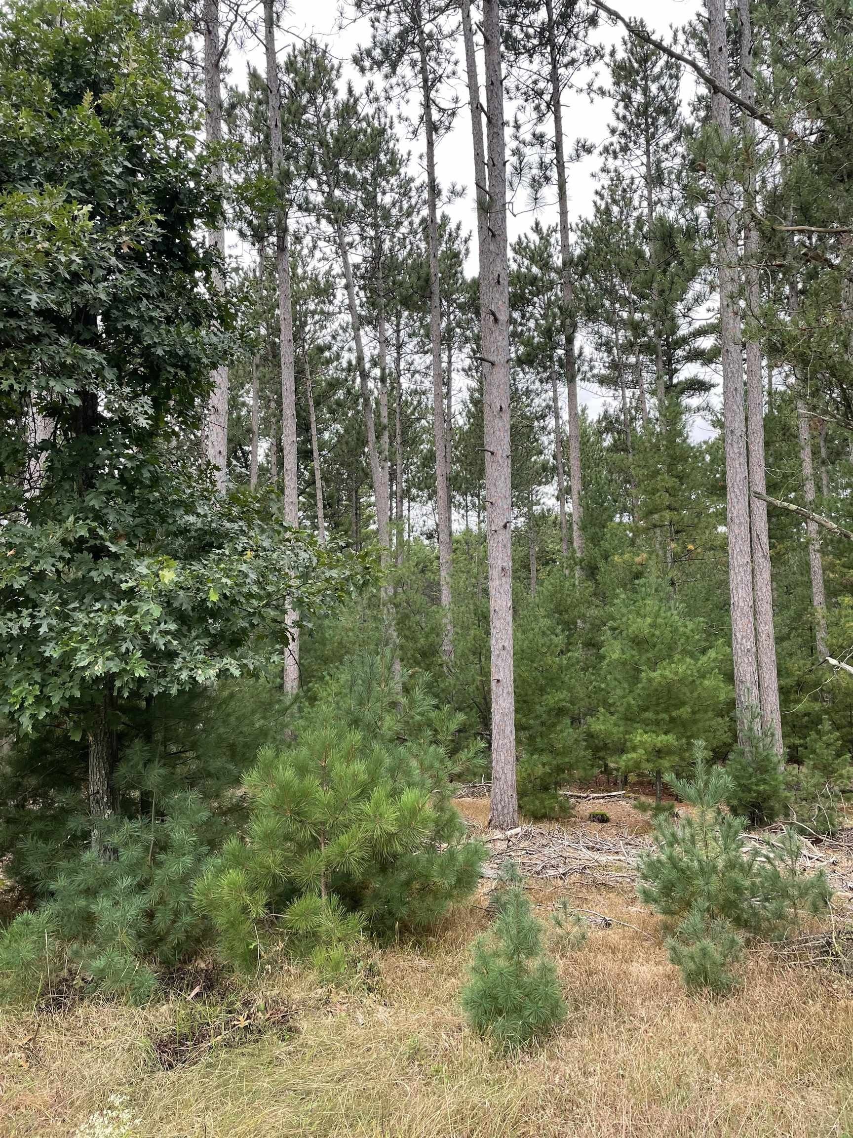 10.39 acres in Wood County, Wisconsin