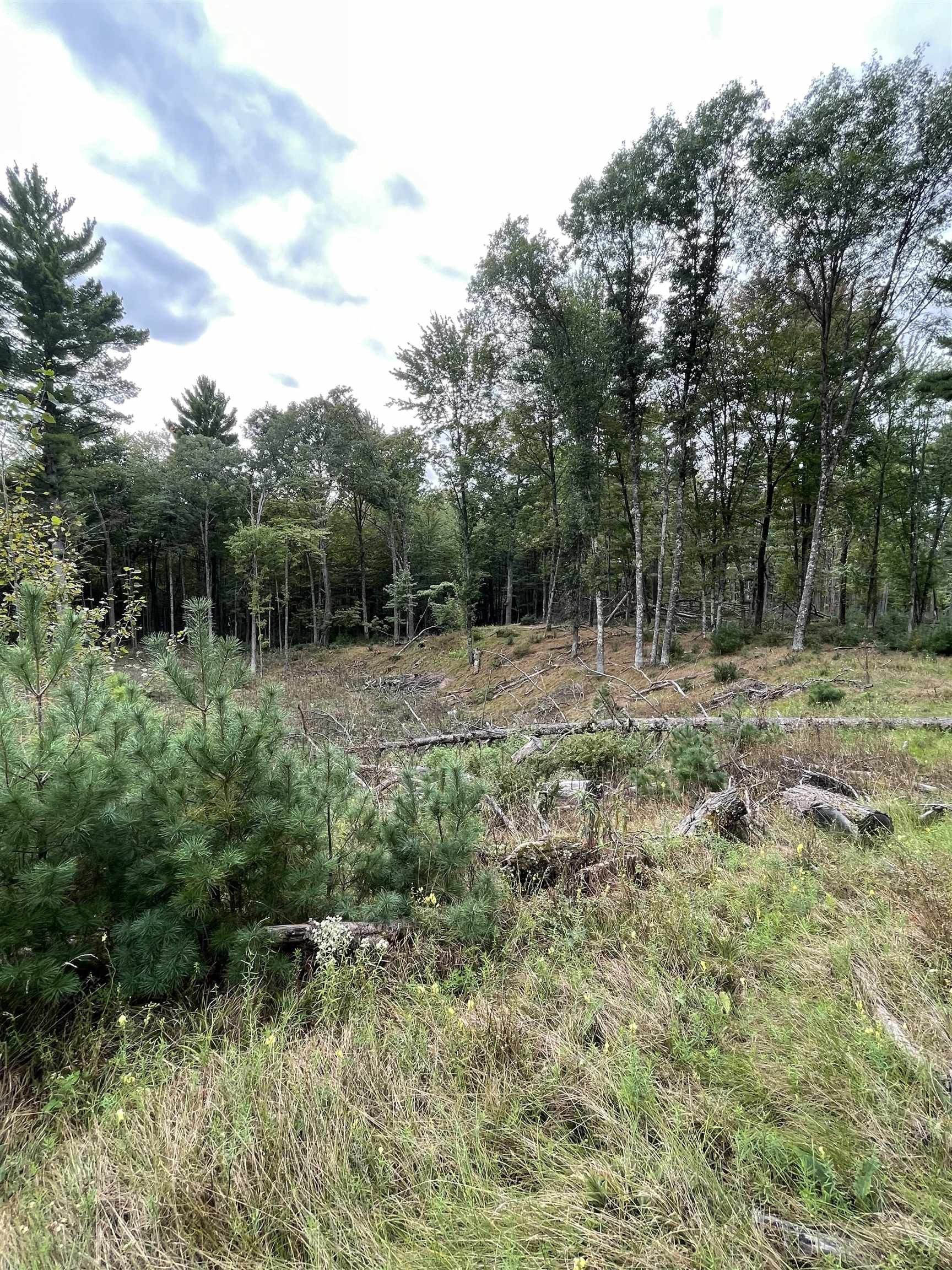 8.38 acres in Wood County, Wisconsin