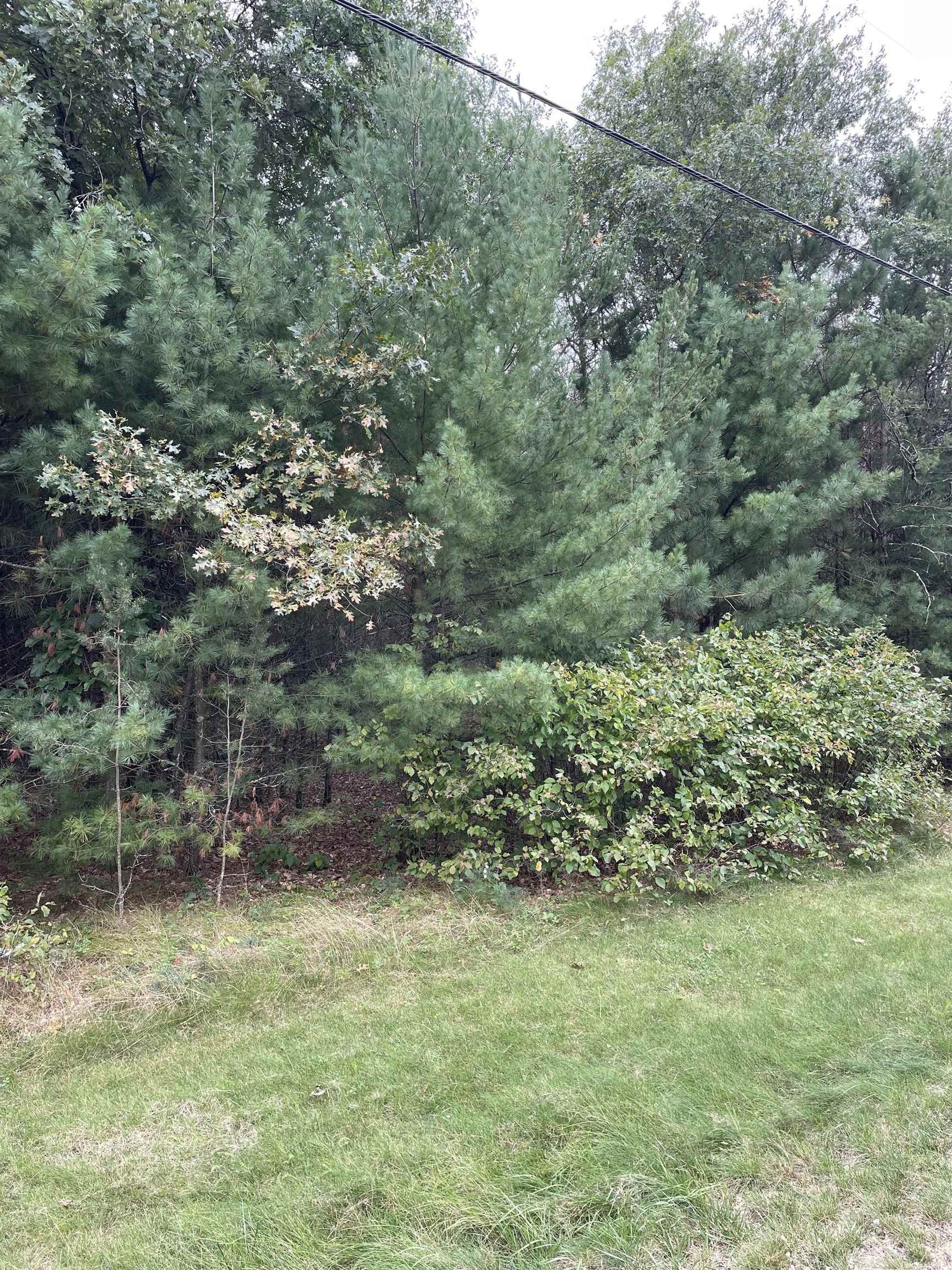 10.67 acres in Wood County, Wisconsin