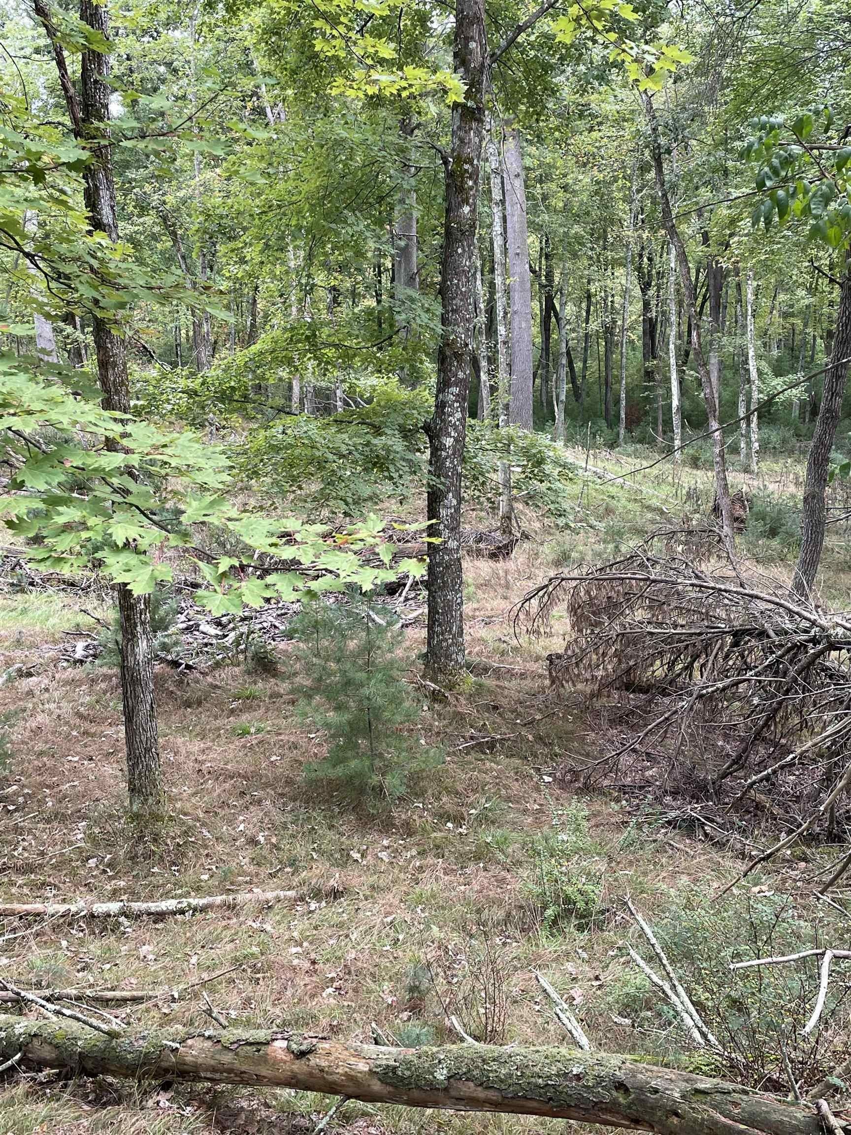 13.62 acres in Wood County, Wisconsin