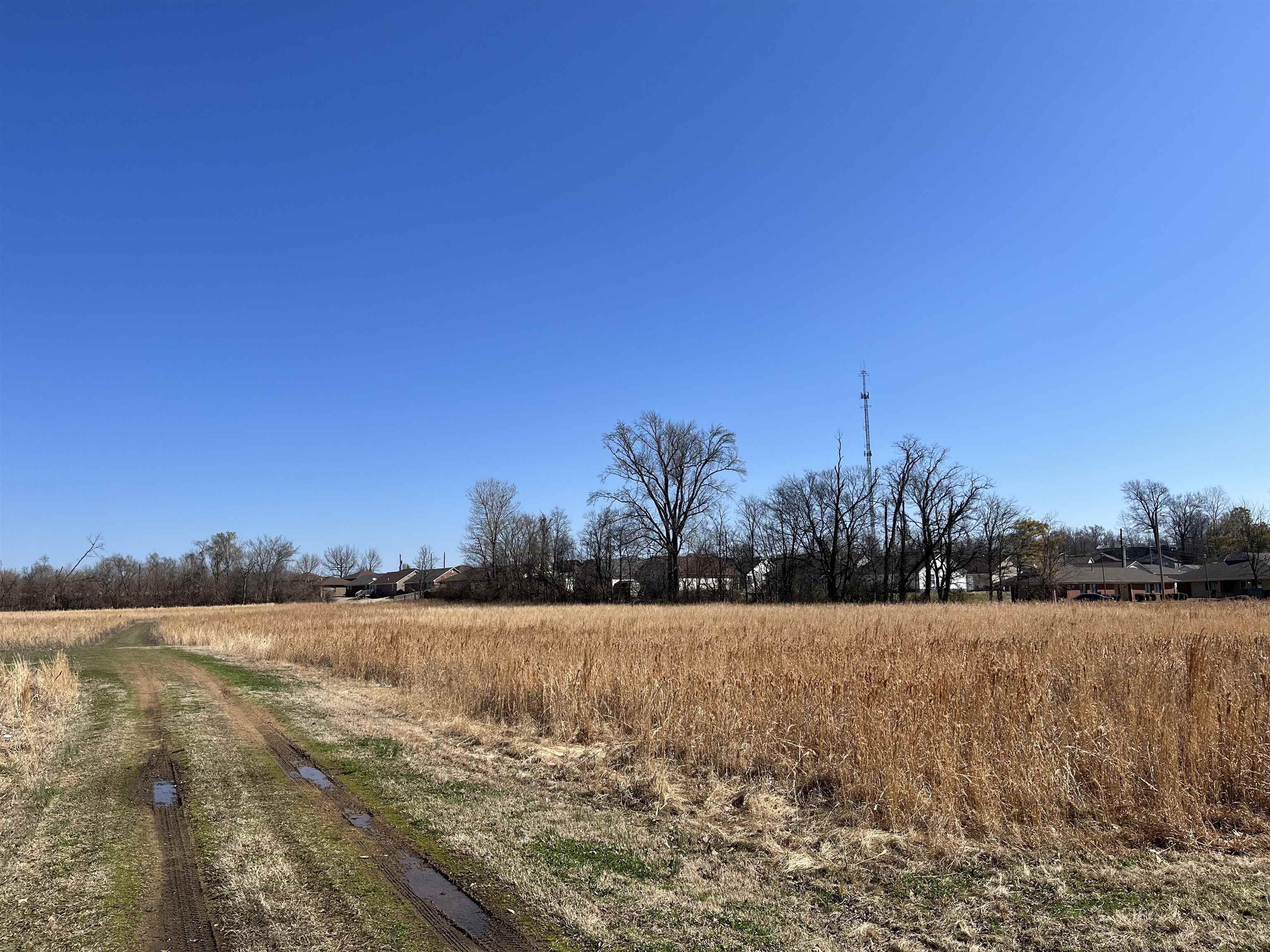 12 acres in Dyer County, Tennessee