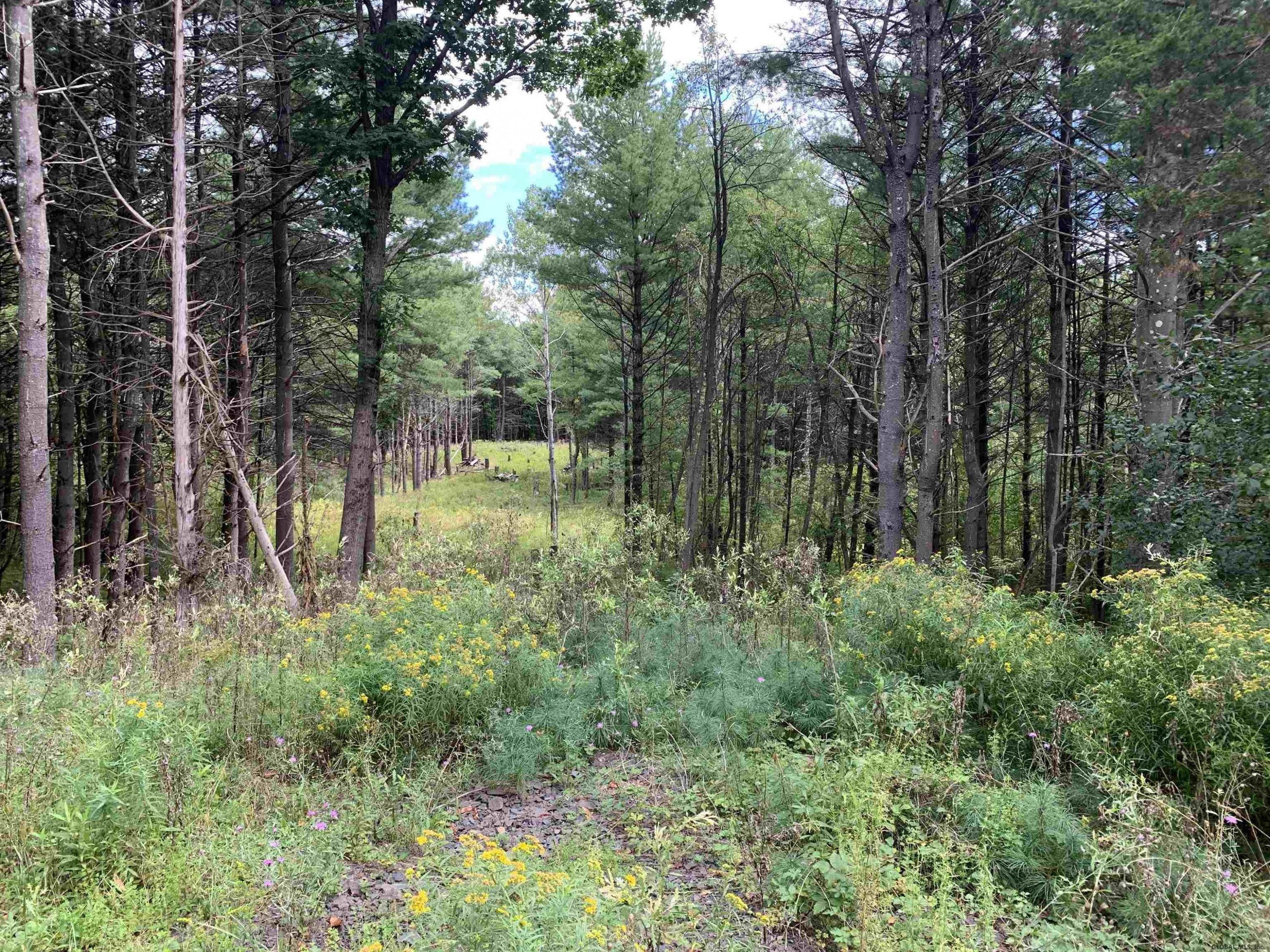 Craigslist Apartments Greene County Ny 59 - 4zmmnb8