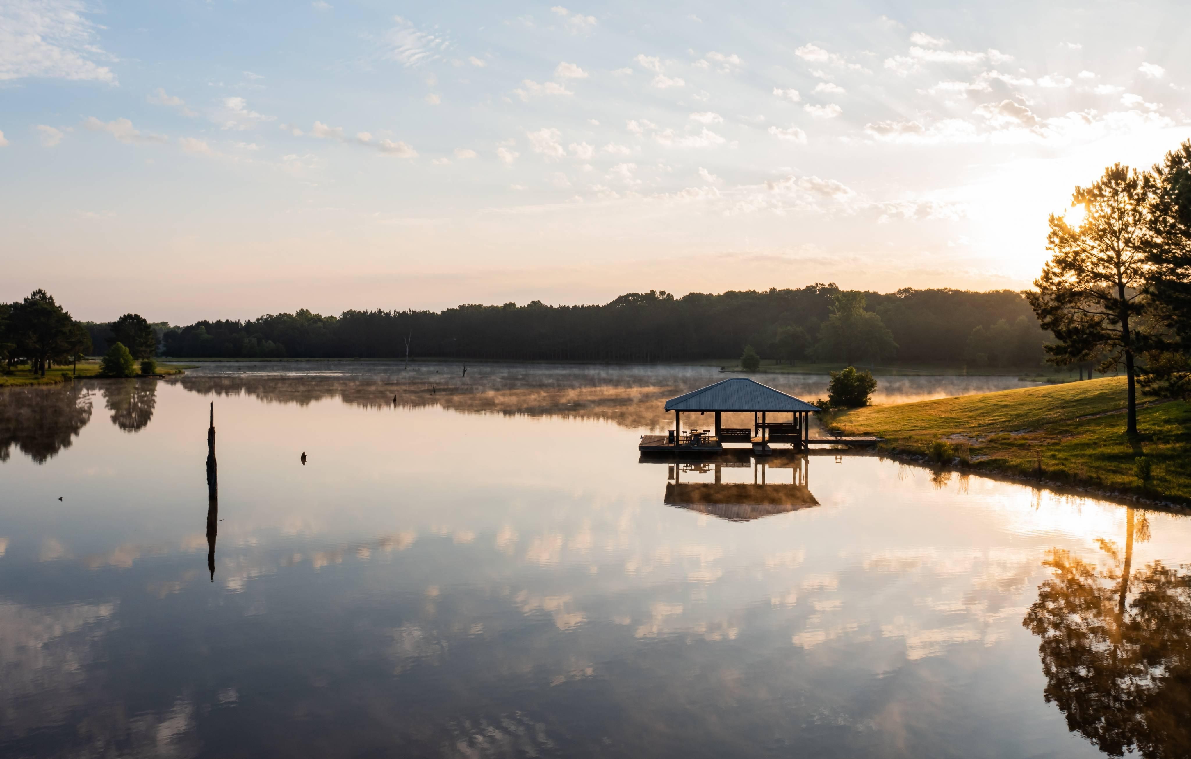 1,100 acres in Lowndes County, Alabama