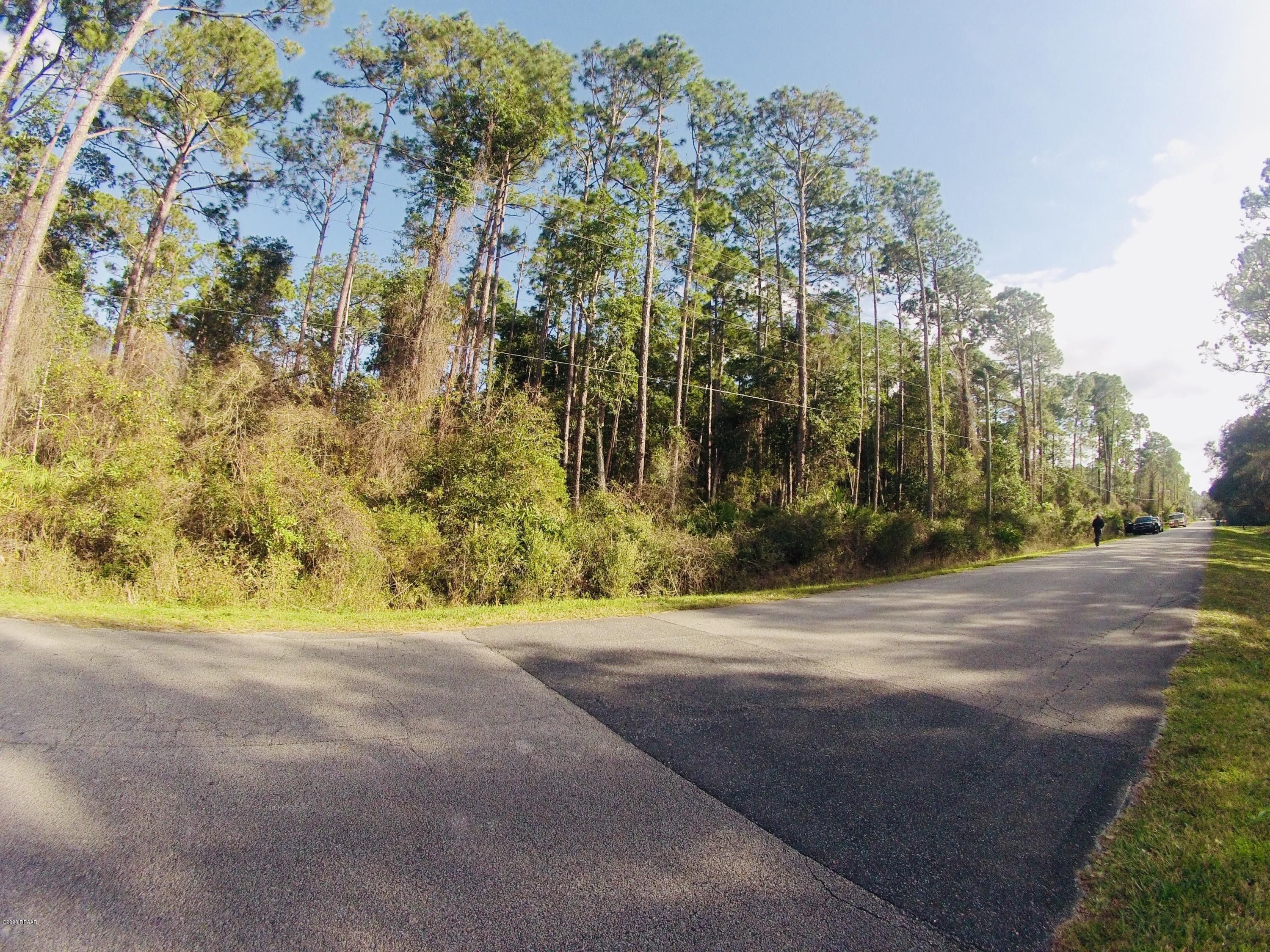 5 acres in Volusia County, Florida