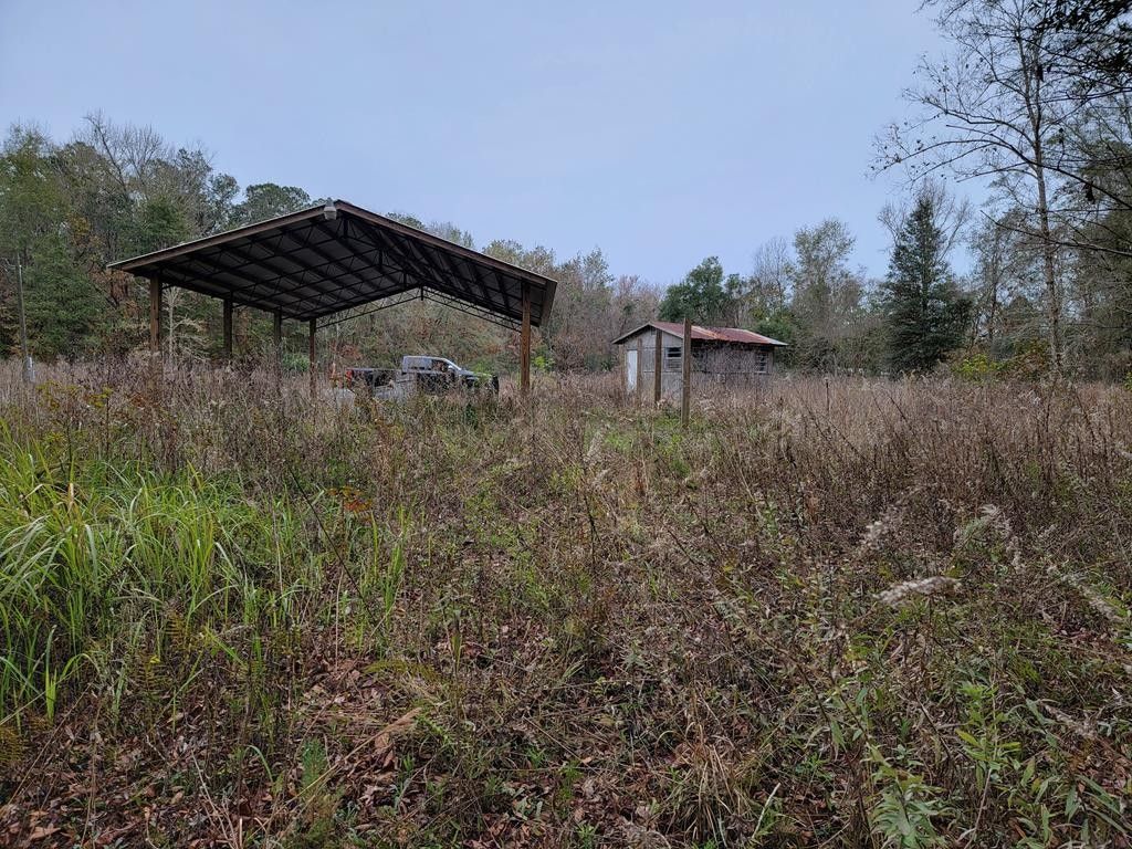 10 acres in Levy County, Florida