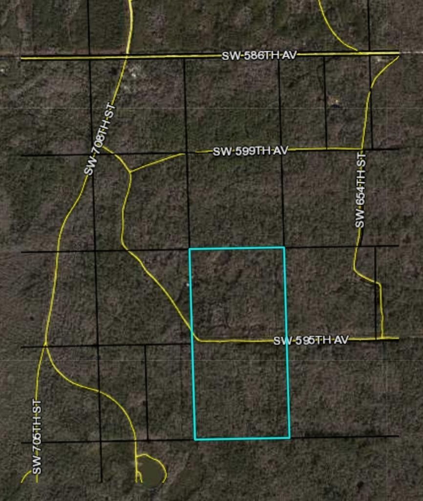 80 acres in Dixie County, Florida