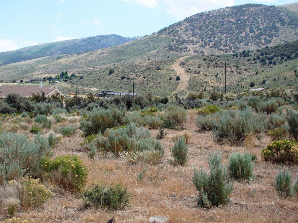 10.02 acres in Elko County, Nevada