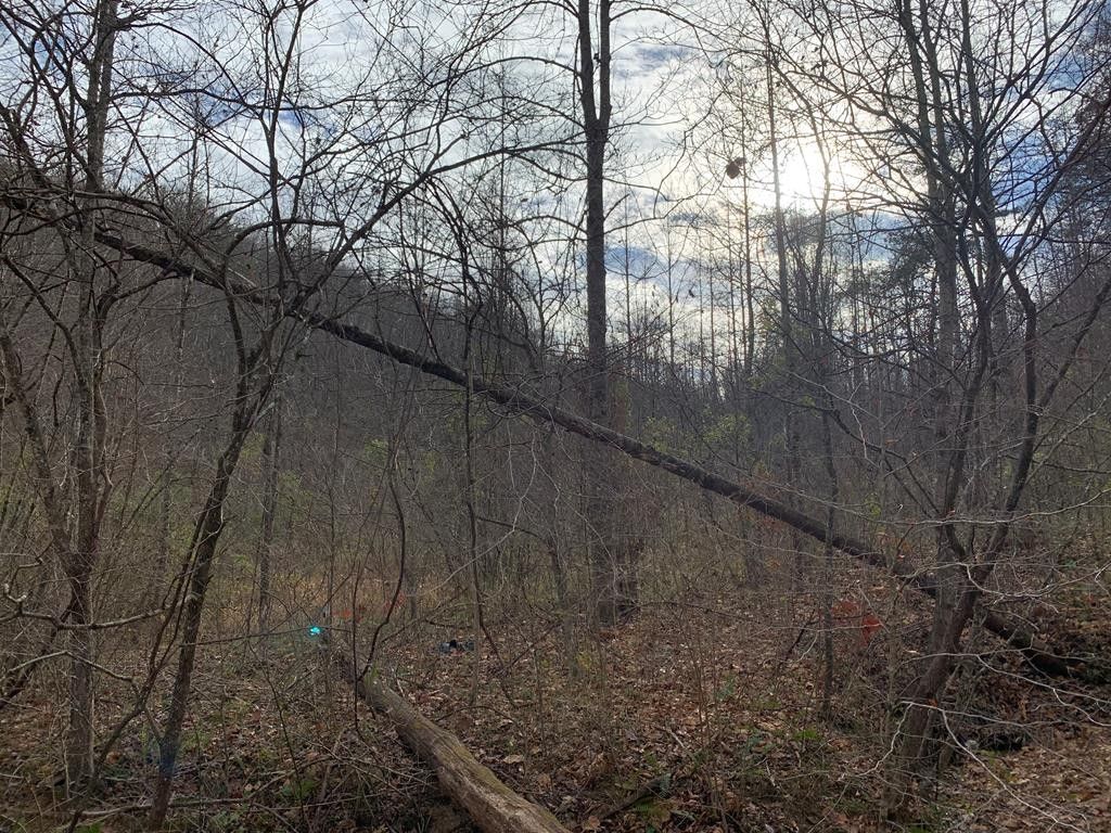 75 acres in Johnson County, Kentucky