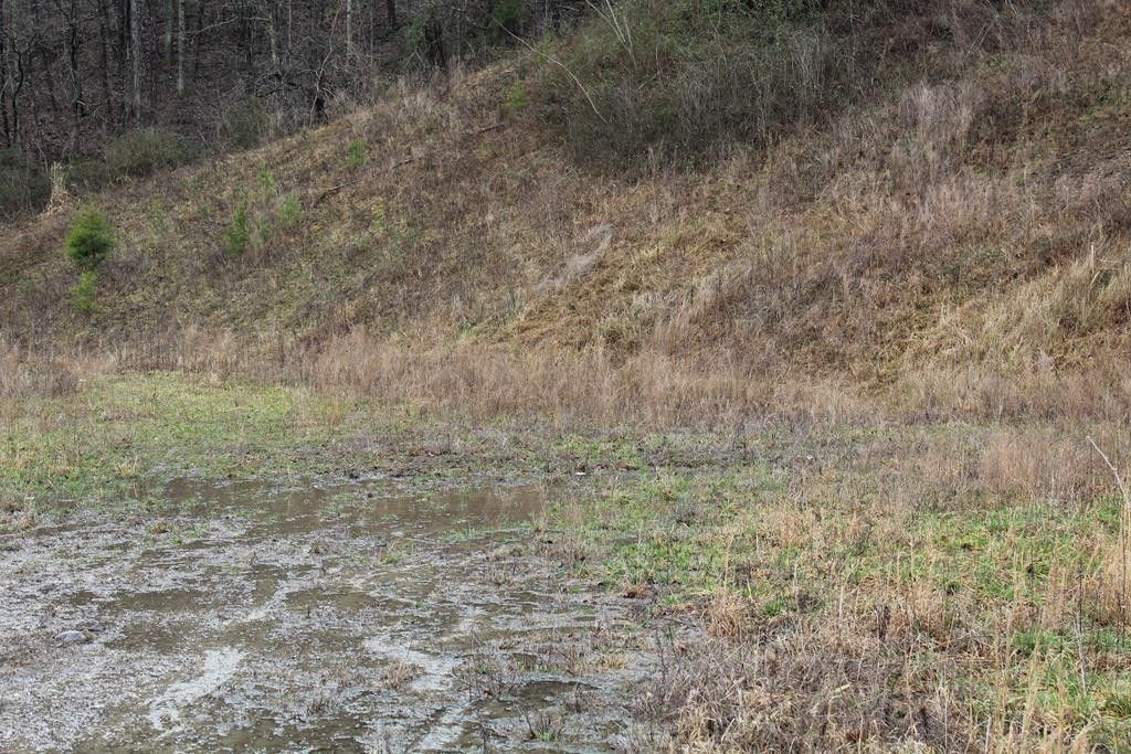 9 acres in Johnson County, Kentucky